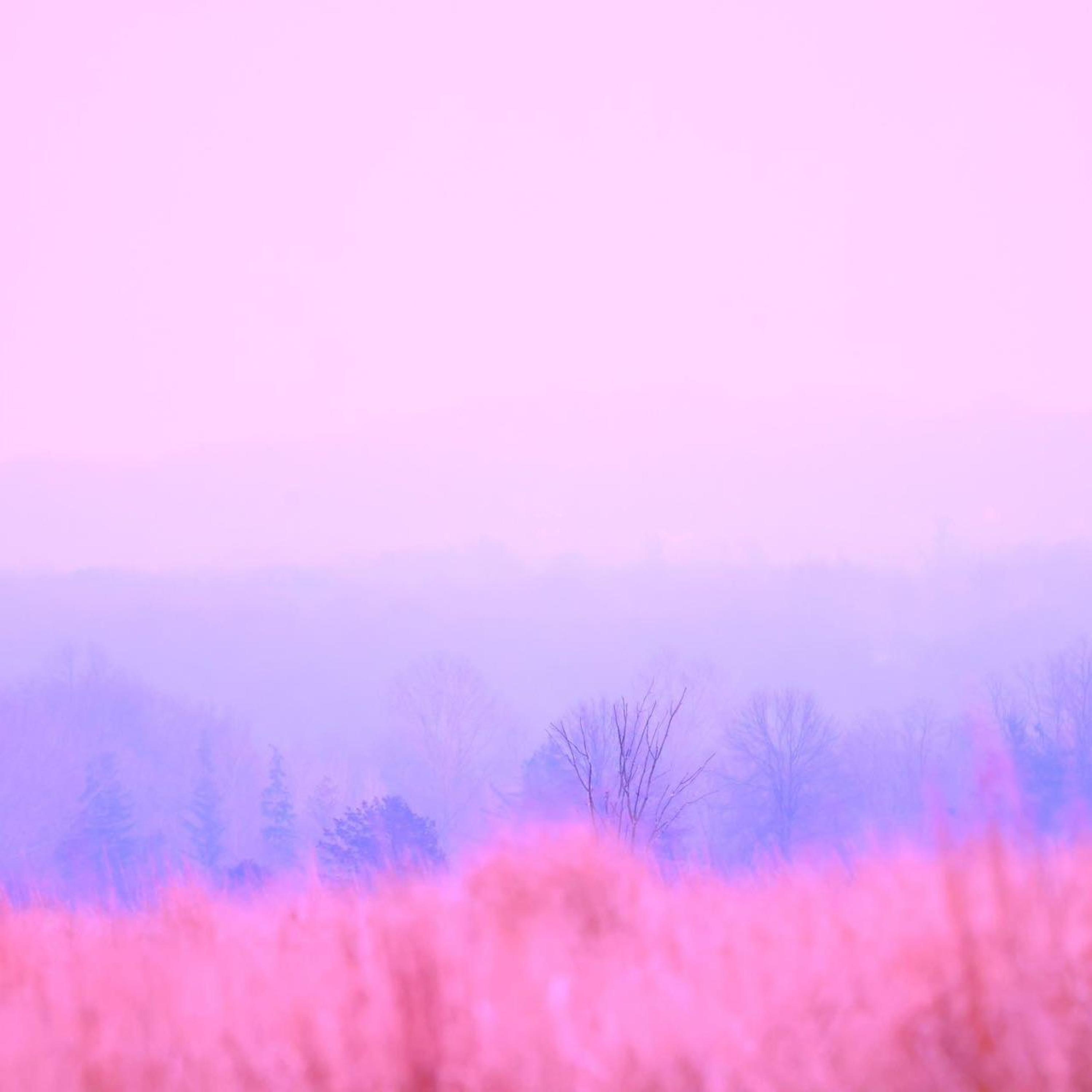 Релиз 原来是这样