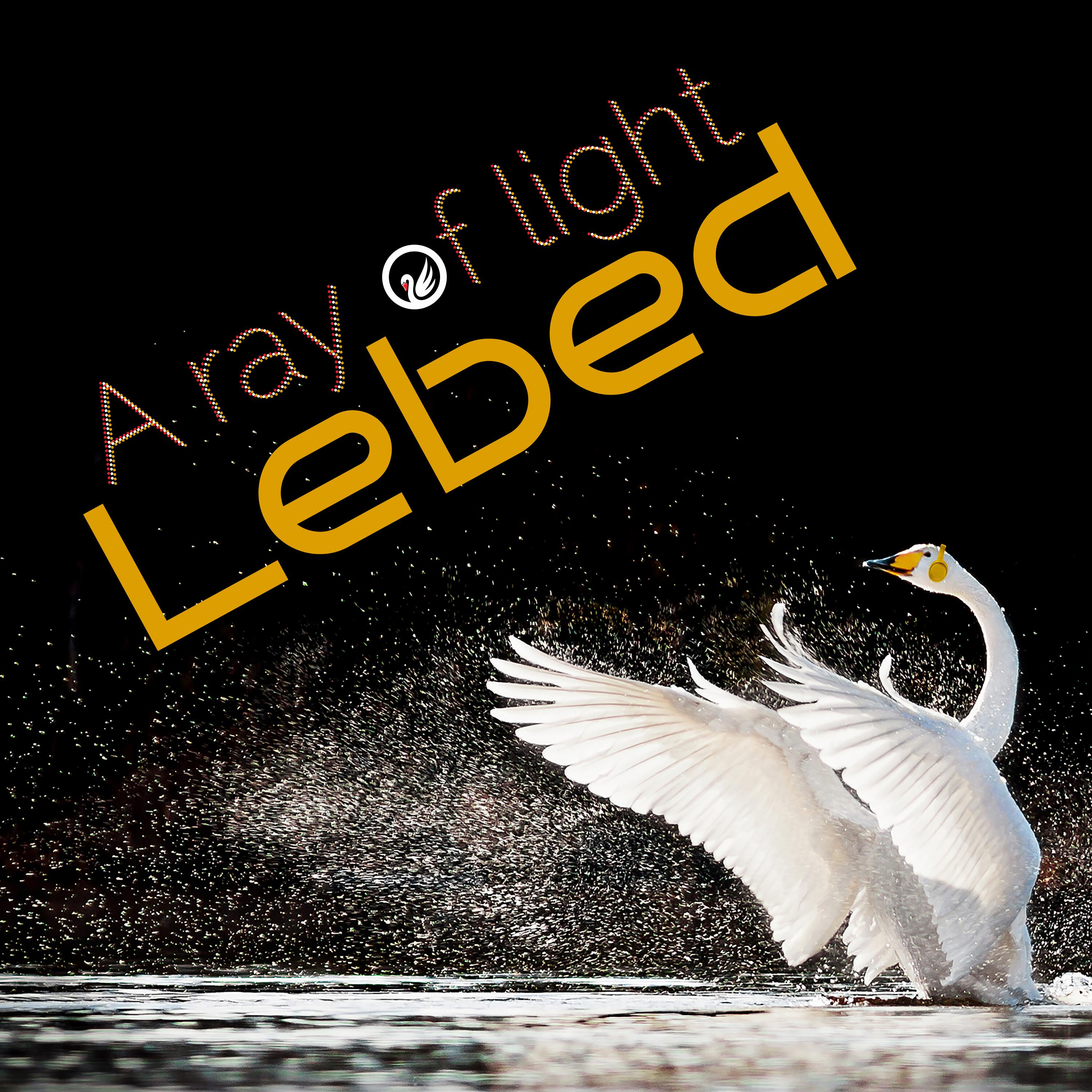 Релиз A Ray of Light