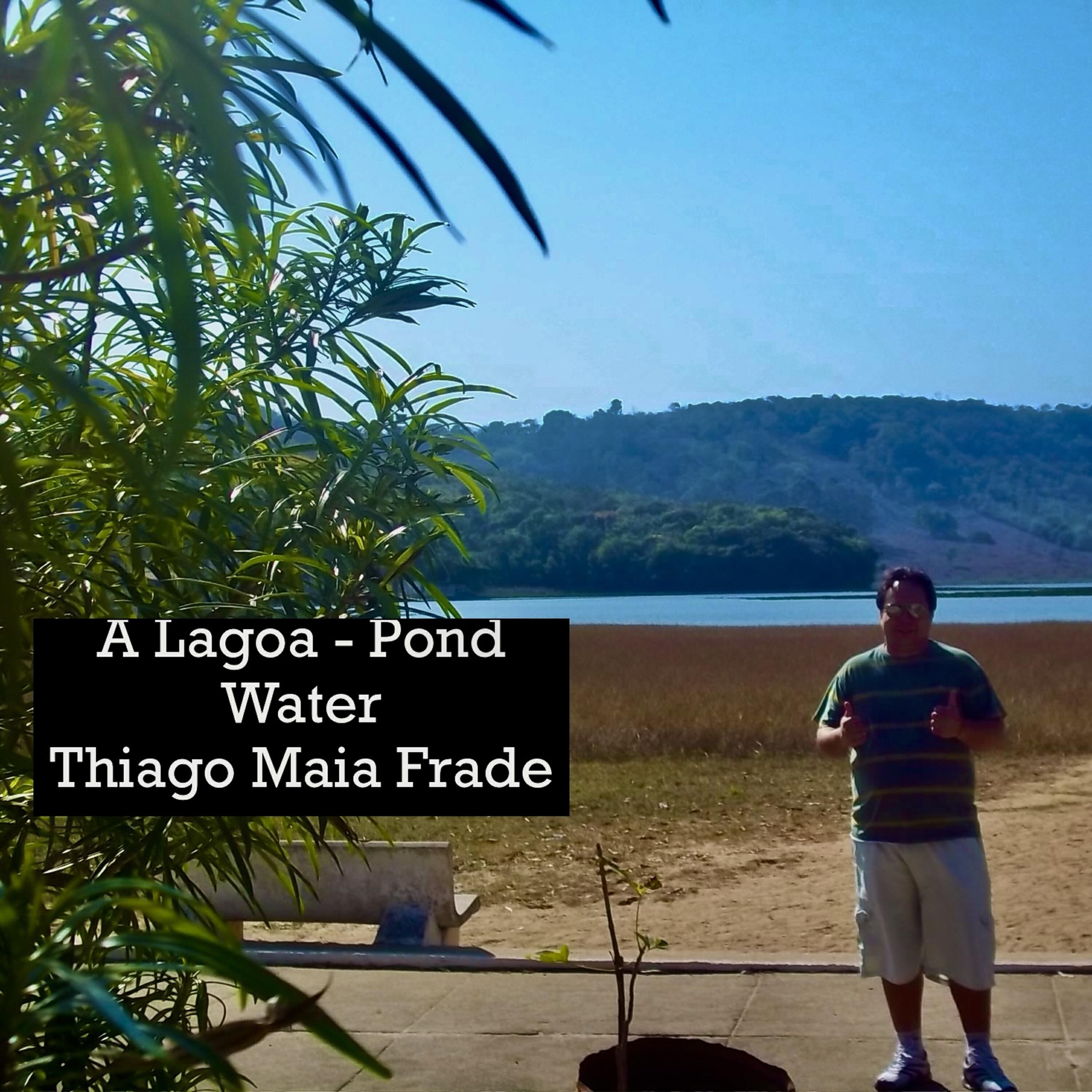 Релиз A Lagoa Pond Water