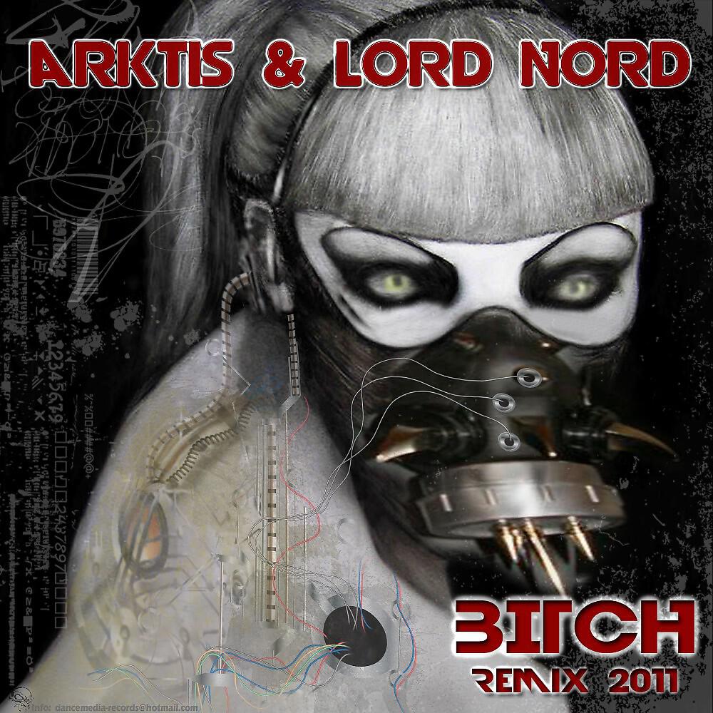 Релиз Bitch Remix 2011