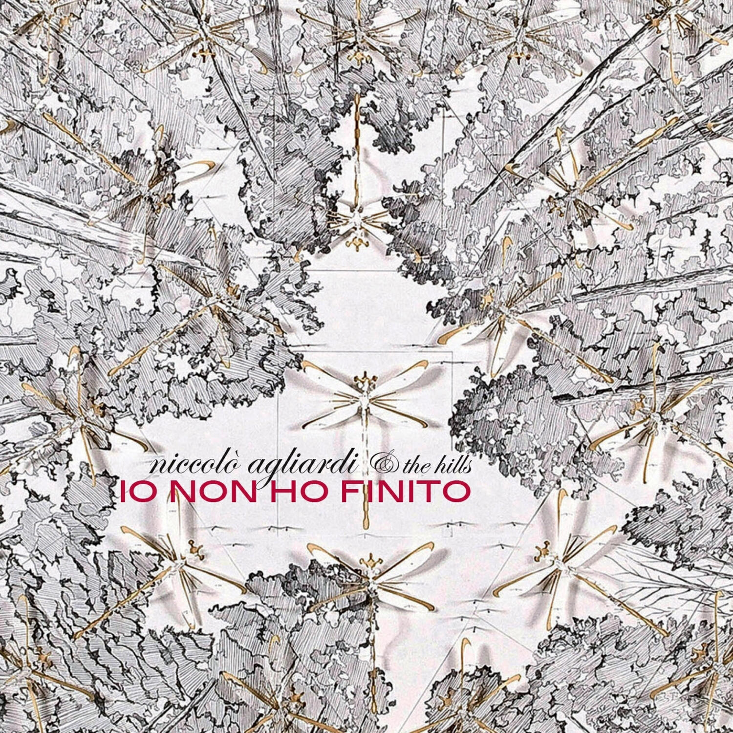Релиз Io non ho finito