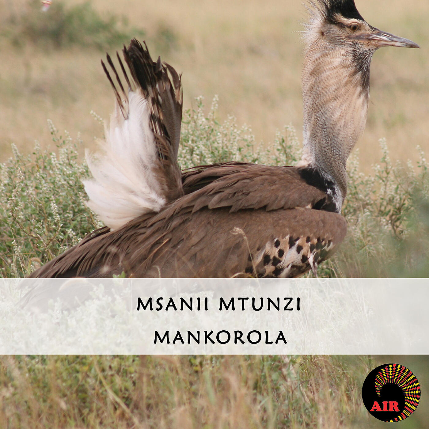 Релиз Mankorola