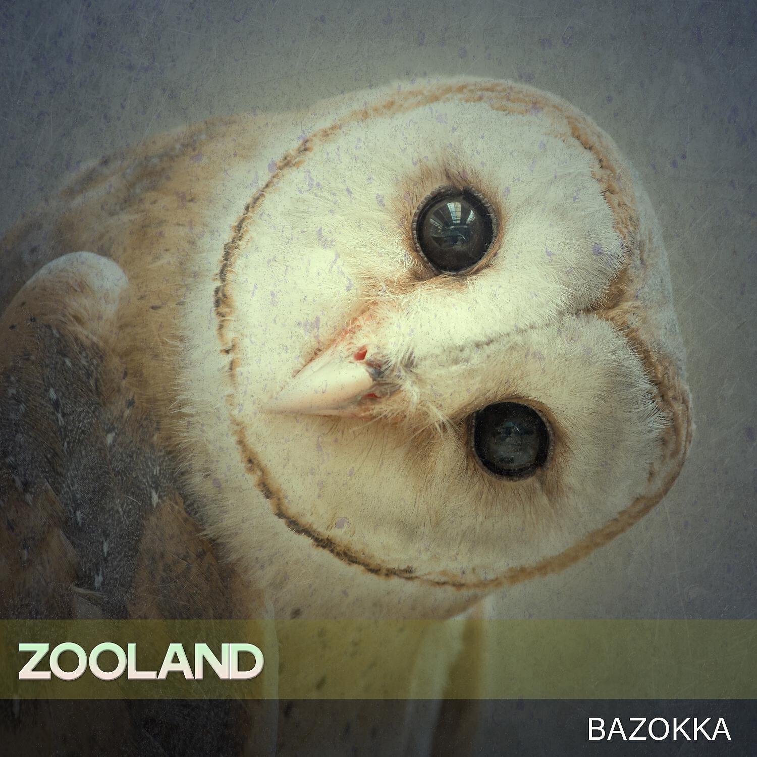 Релиз Zooland