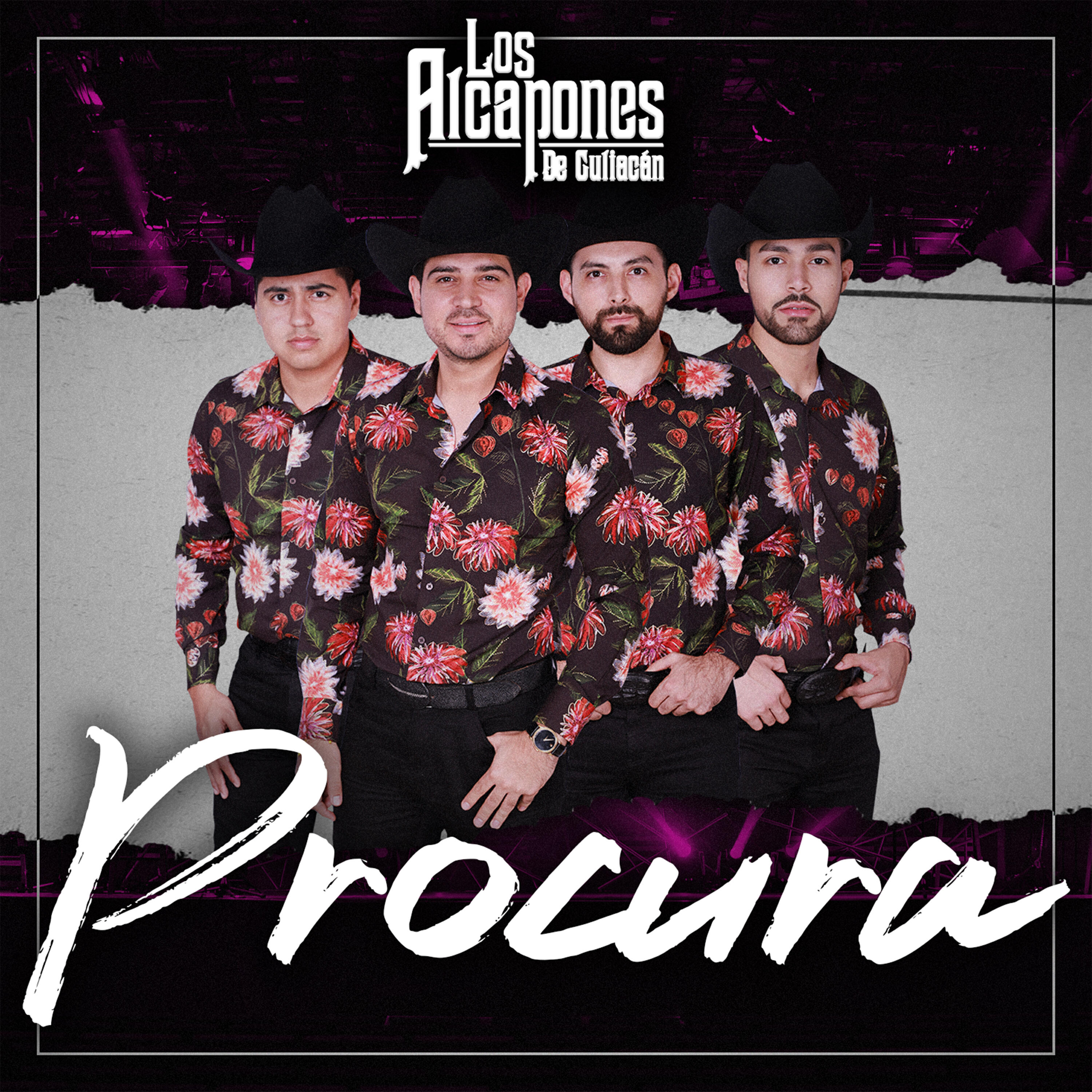 Релиз Procura