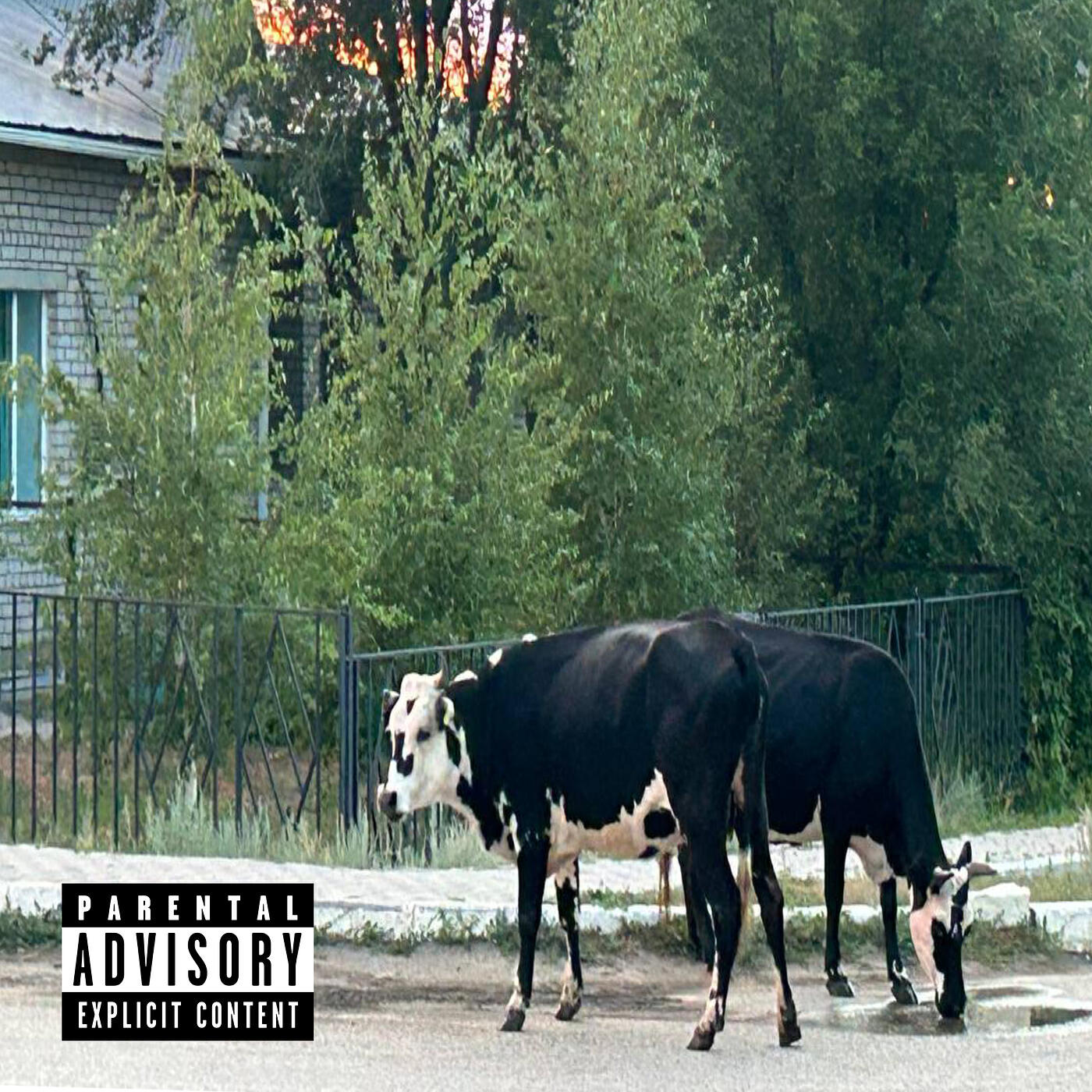 Релиз Қтқ жеме