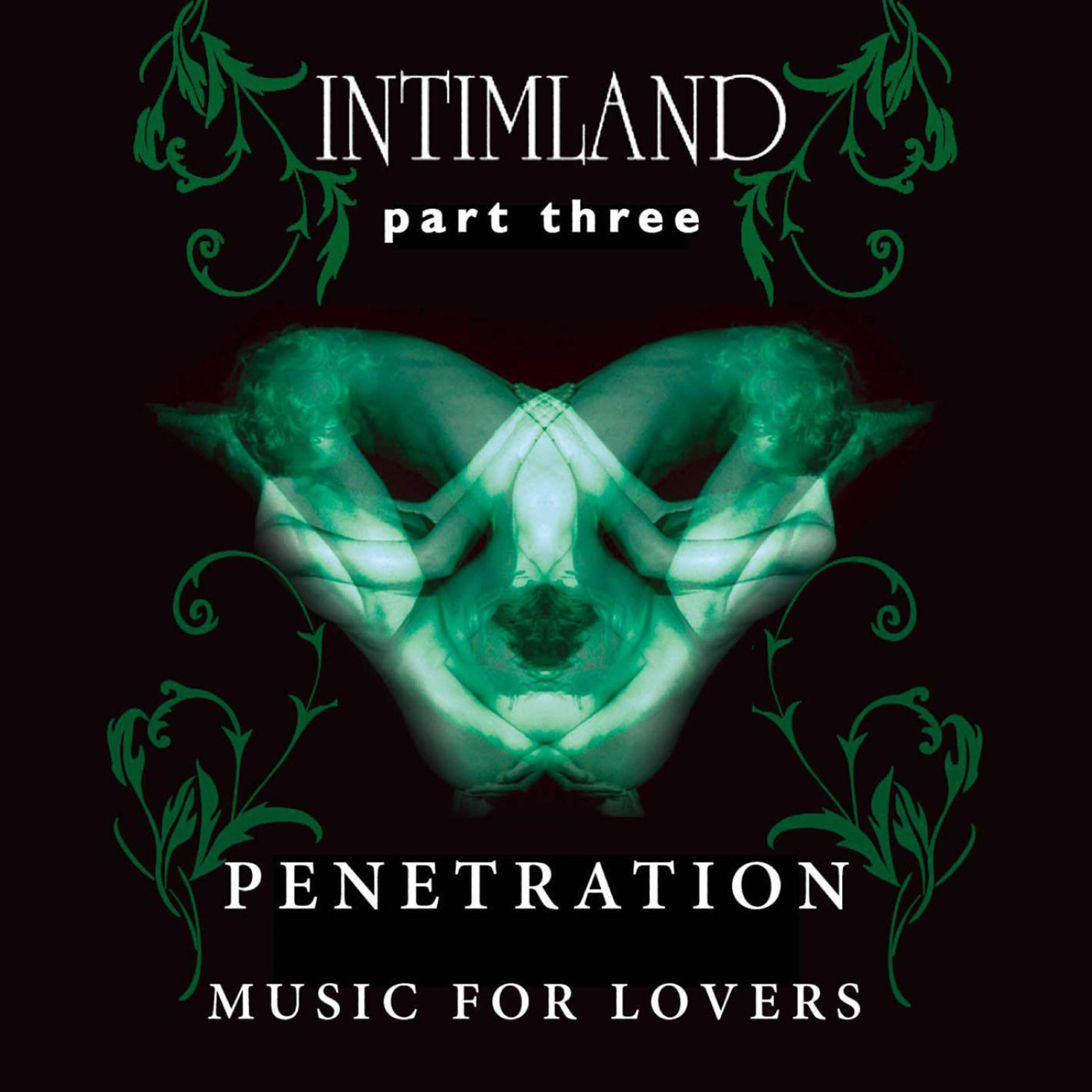 Релиз Intimland Part 3 - Penetration