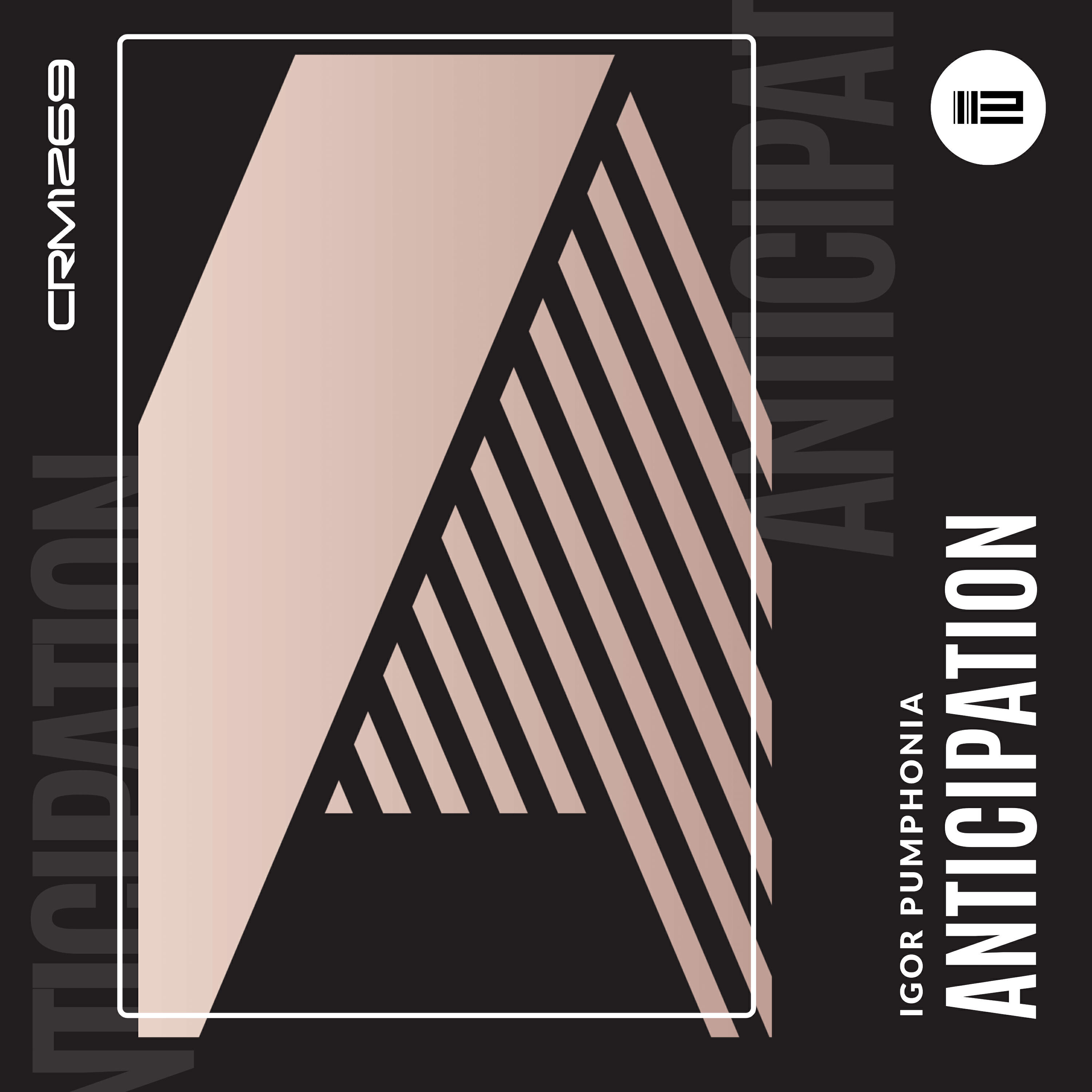 Постер альбома Anticipation