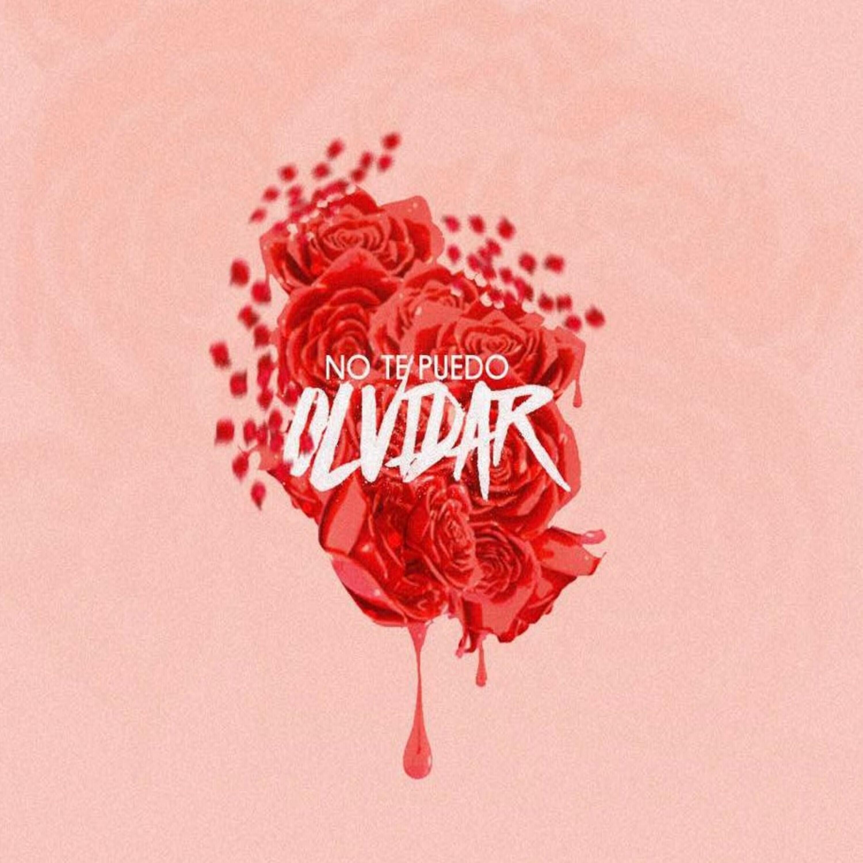 Релиз No Te Puedo Olvidar