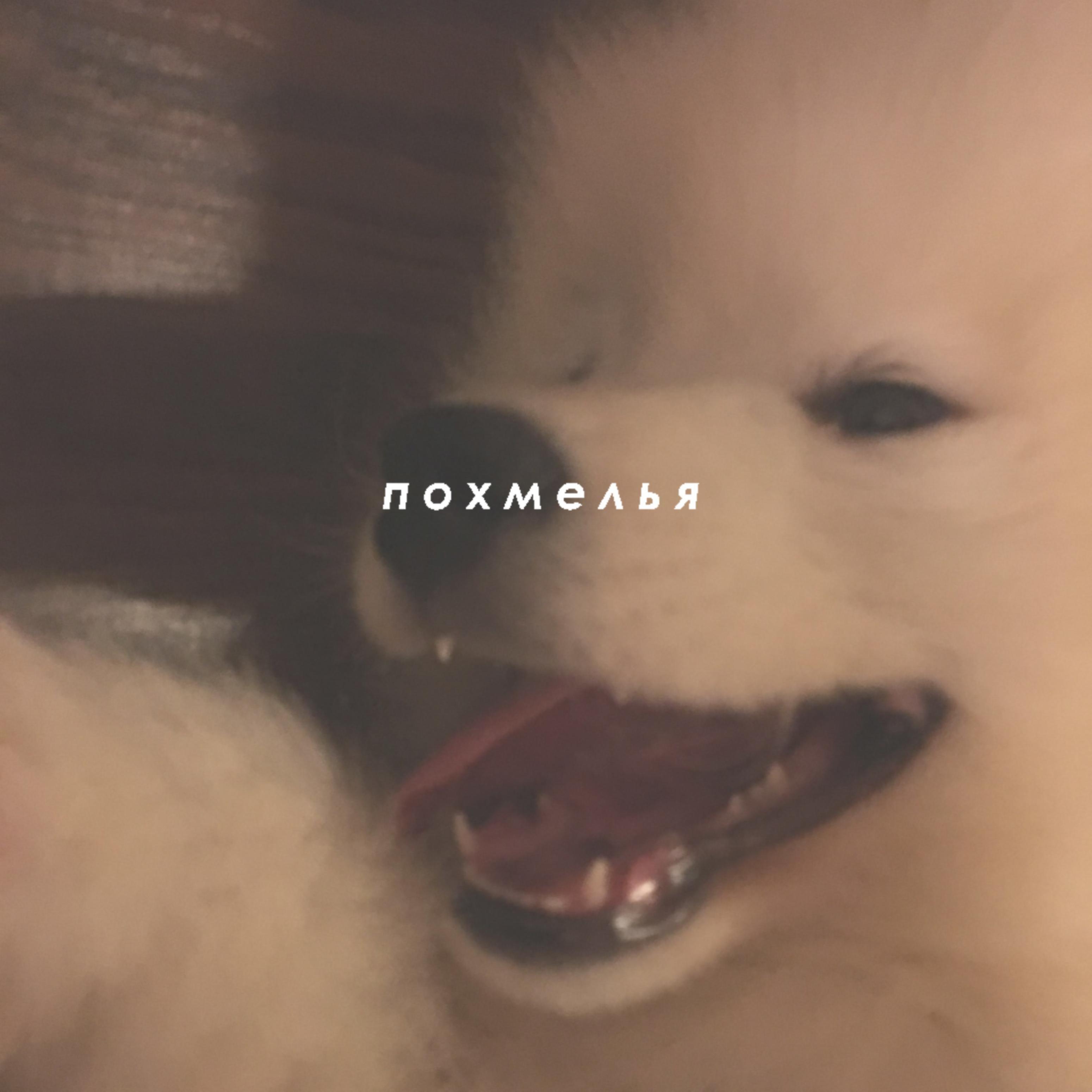 Постер альбома Похмелья
