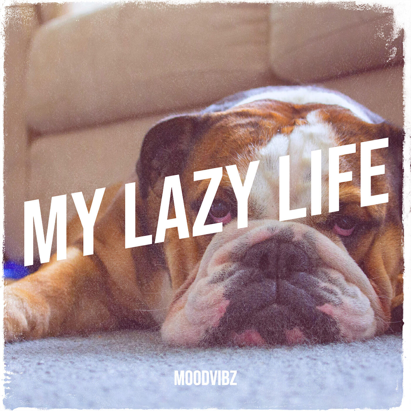 Релиз My Lazy Life