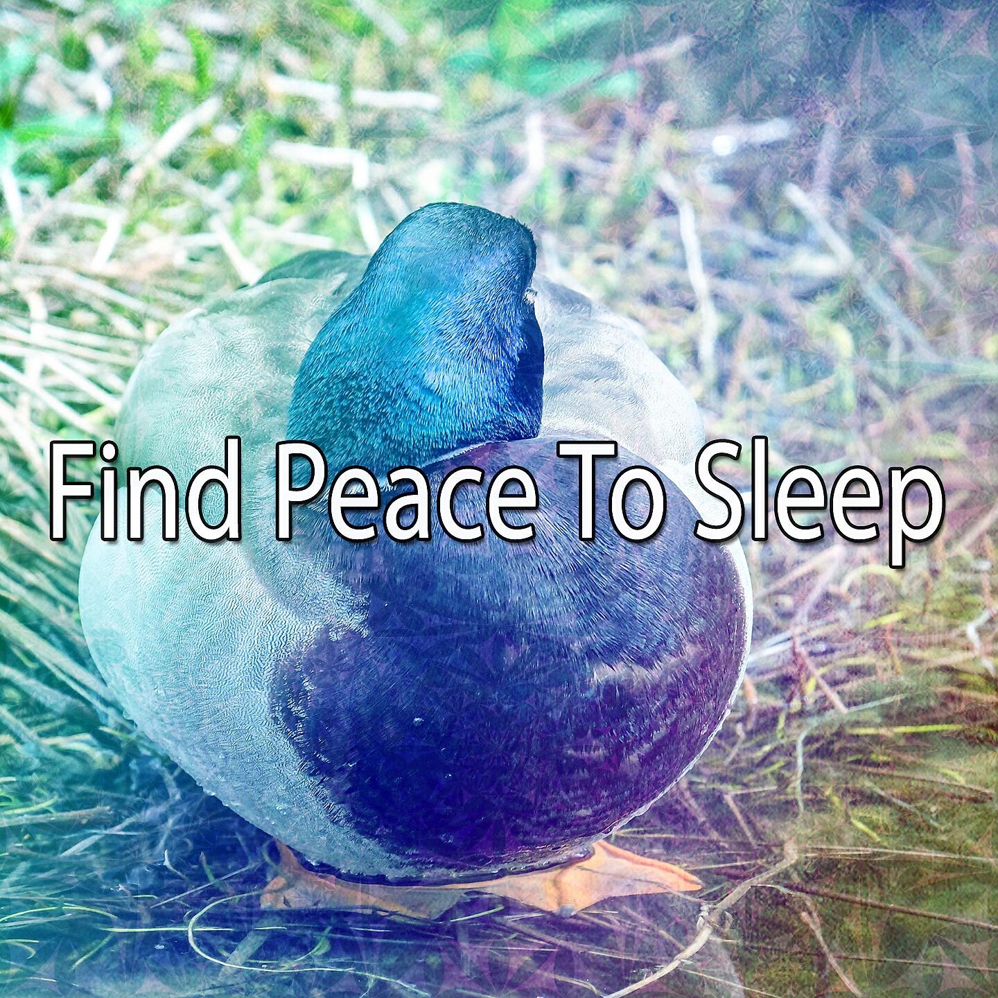 Релиз Find Peace To Sleep