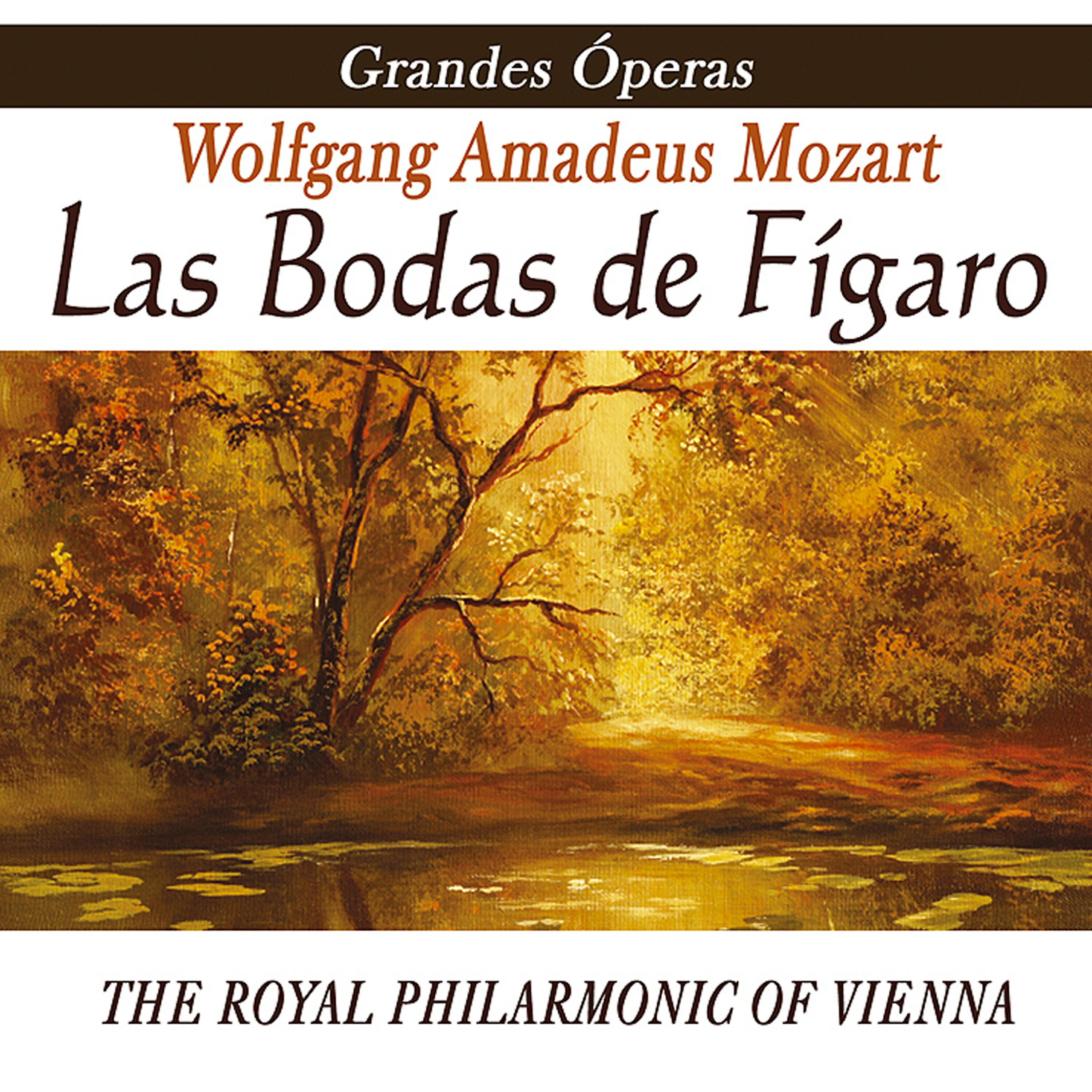 Релиз Opera - Las Bodas De Figaro