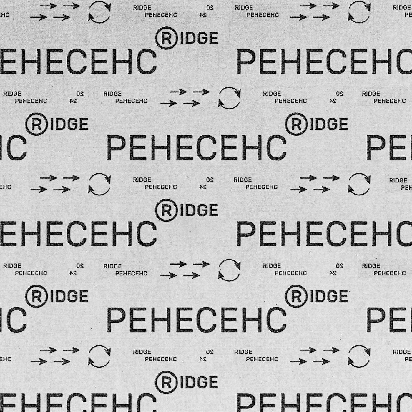 Релиз Ренесенс