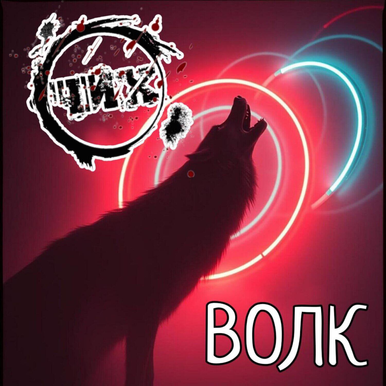 Постер альбома ВОЛК