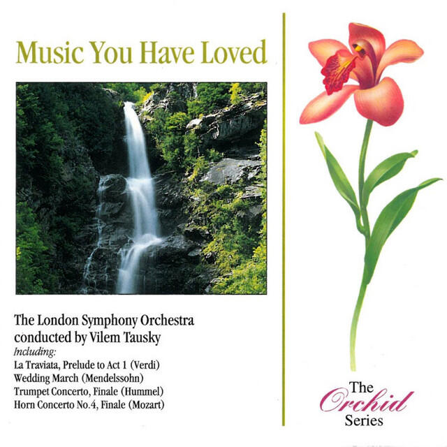 Релиз Music You Have Loved
