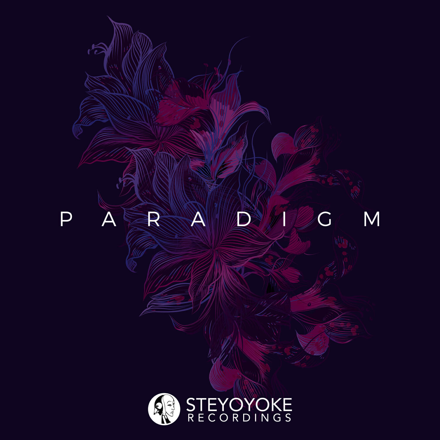 Релиз Steyoyoke Paradigm, Vol. 02