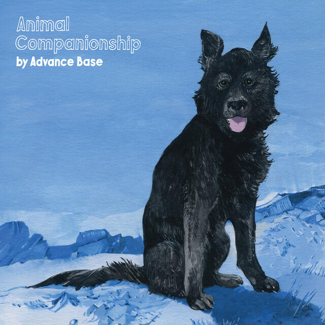 Релиз Animal Companionship