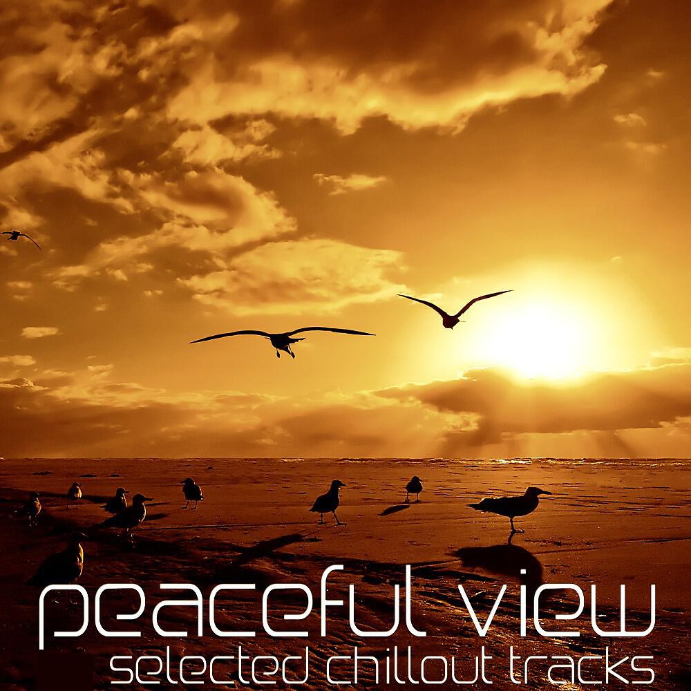 Релиз Peaceful View