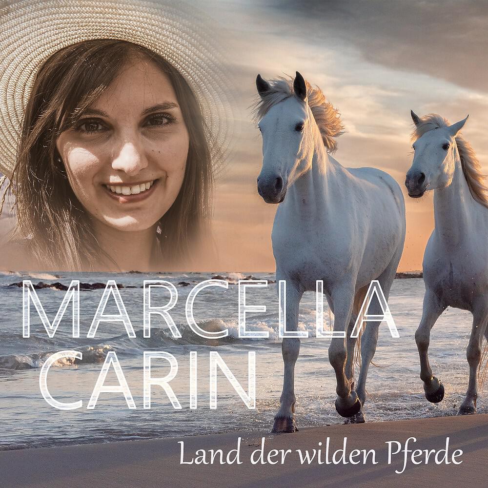Релиз Land der wilden Pferde