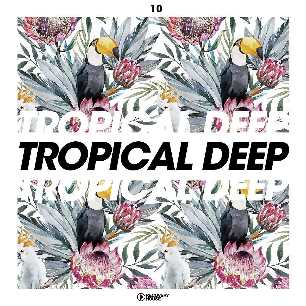 Релиз Tropical Deep, Vol. 10