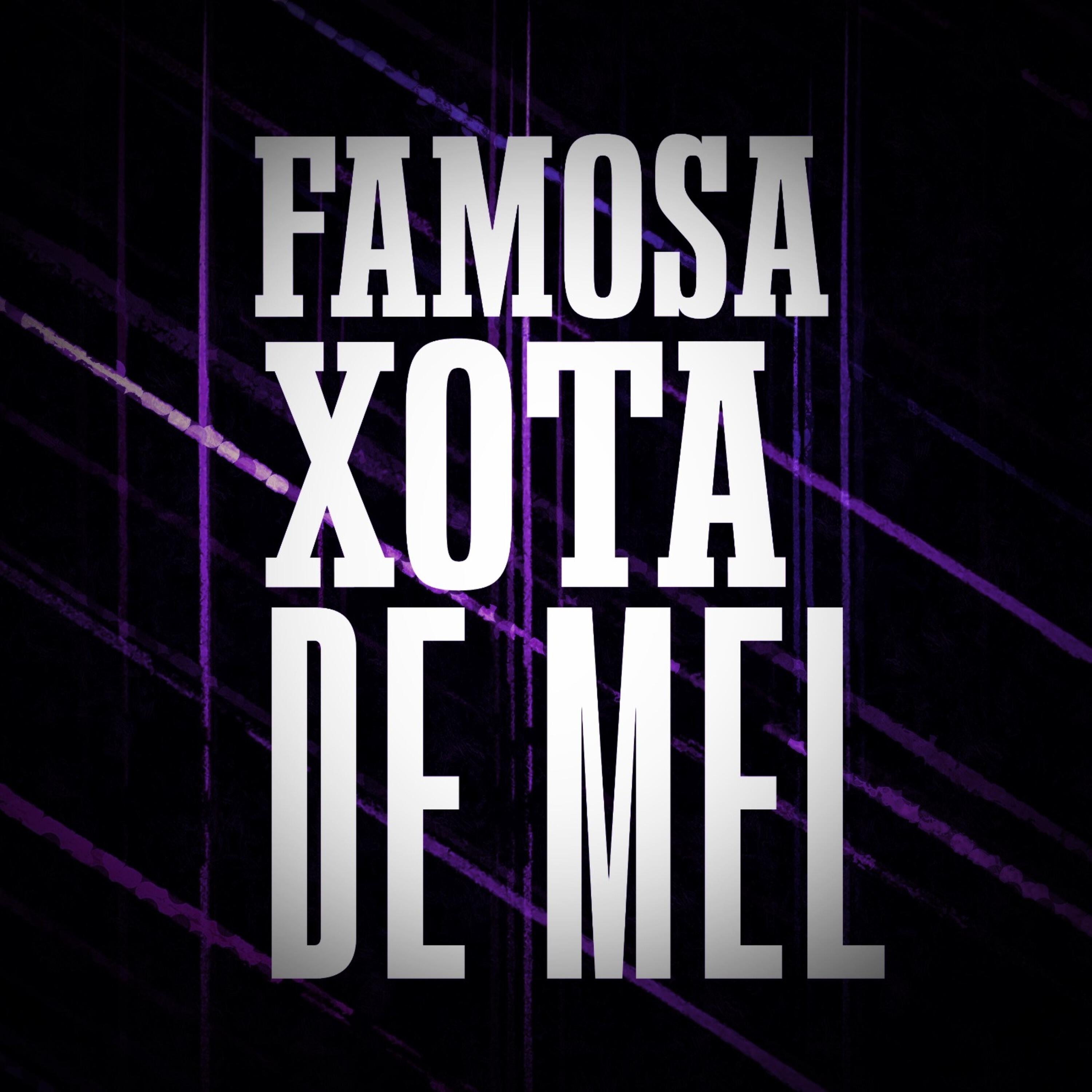 Постер альбома Famosa Xota de Mel