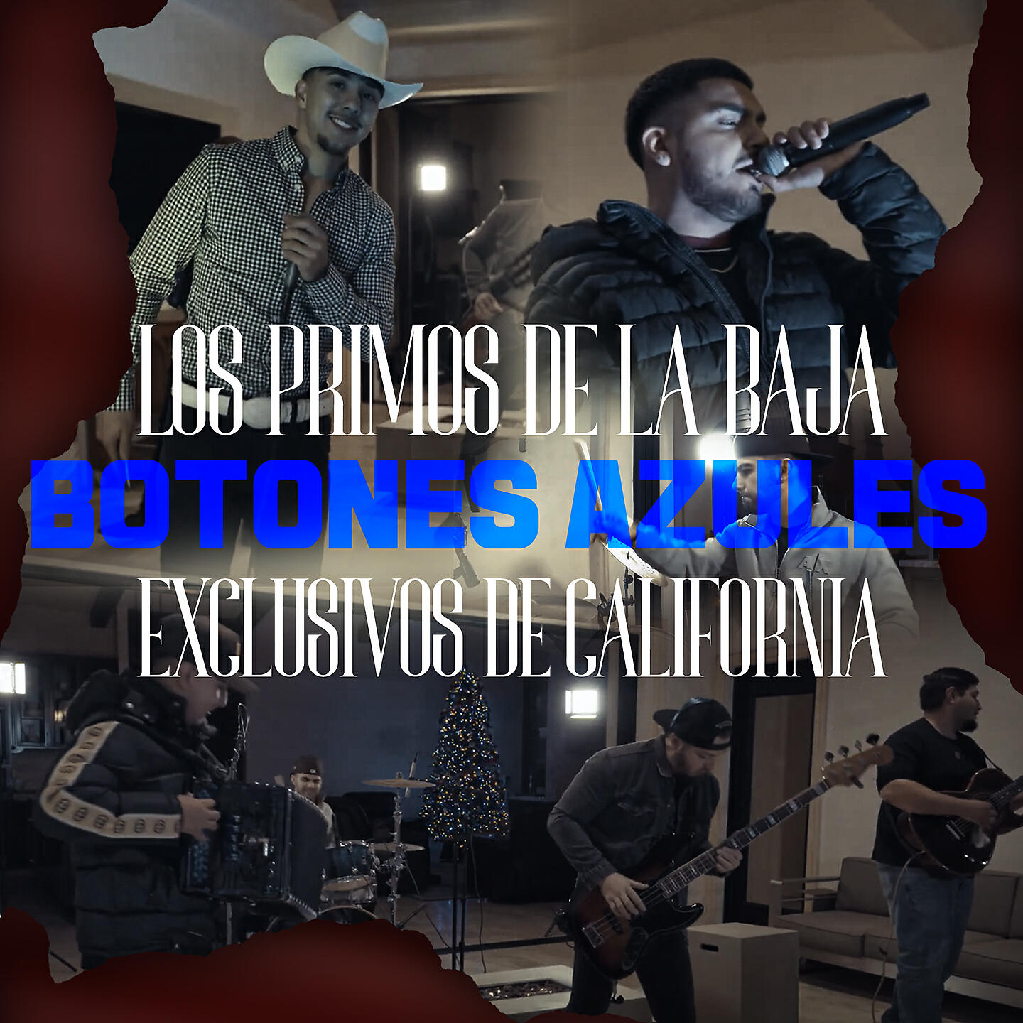 Los Primos De La Baja