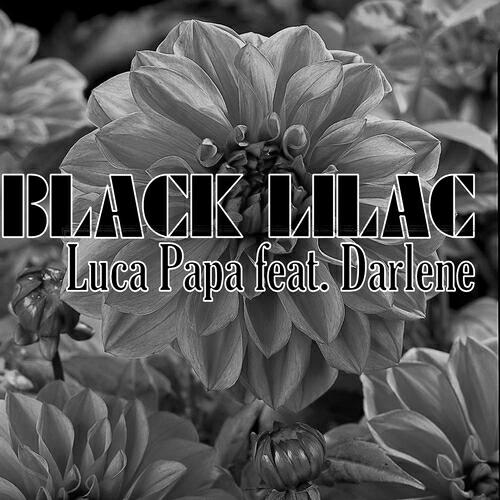 Скачать песню Luka Papa, Darlene - Black Lilac (Re Edit) бесплатно в MP3 для Android и iOS