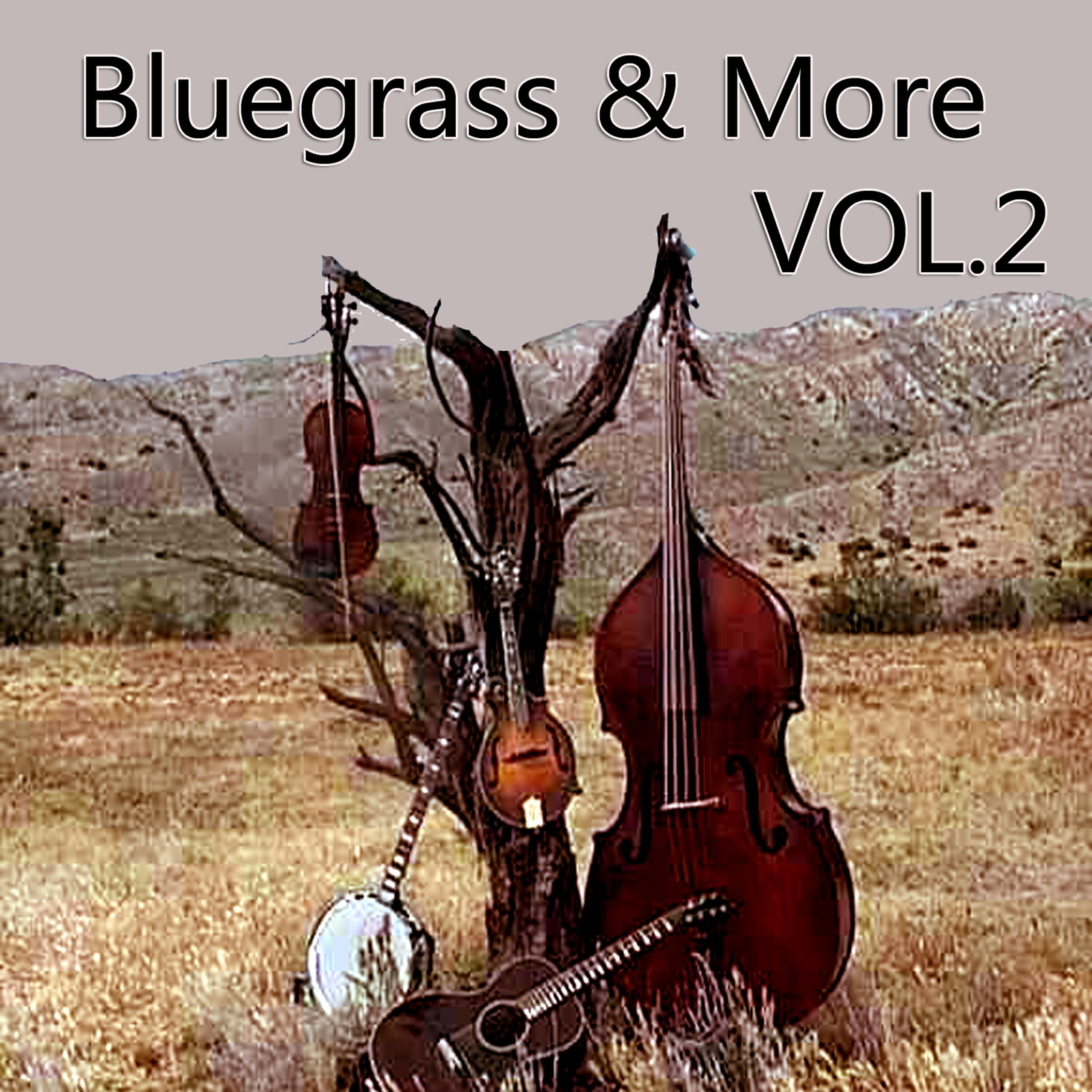 Релиз Bluegrass & More, Vol. 2