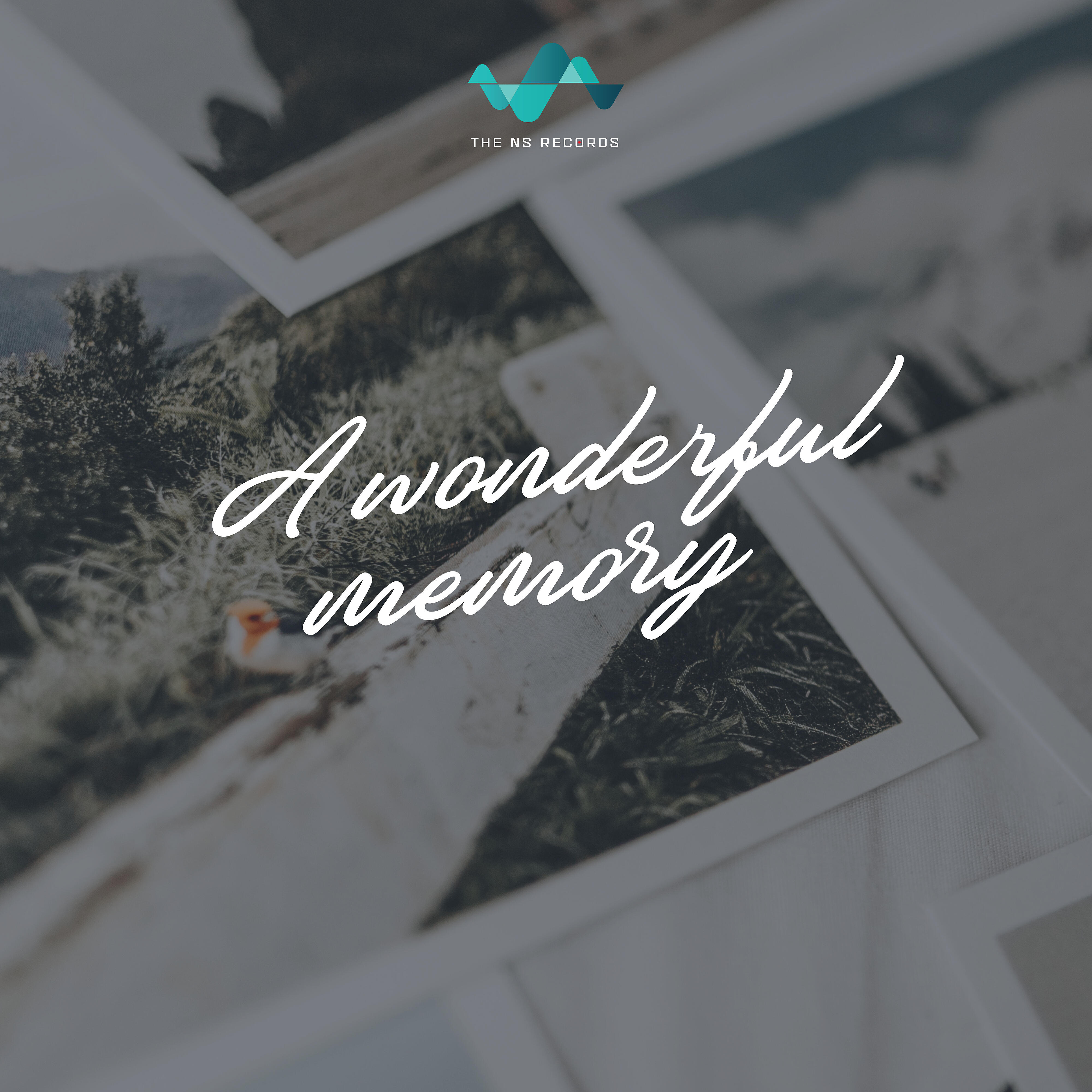 Релиз A Wonderful Memory