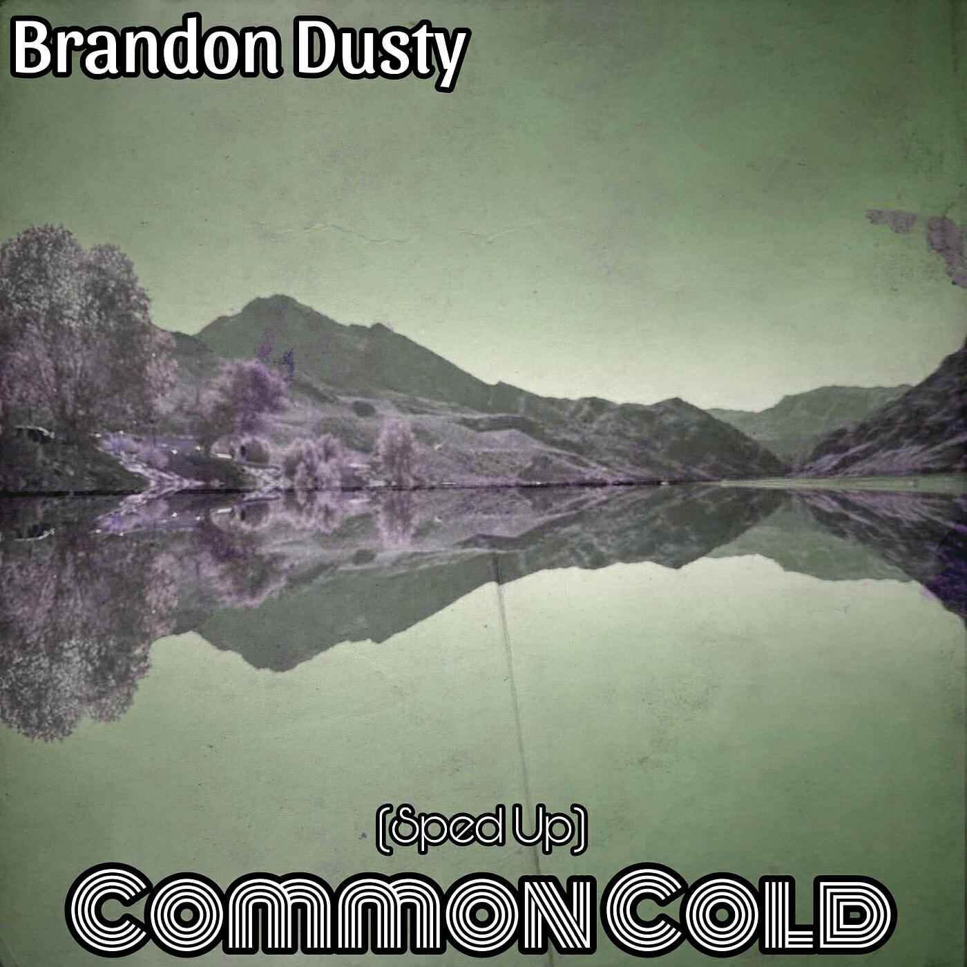 Brandon Dusty