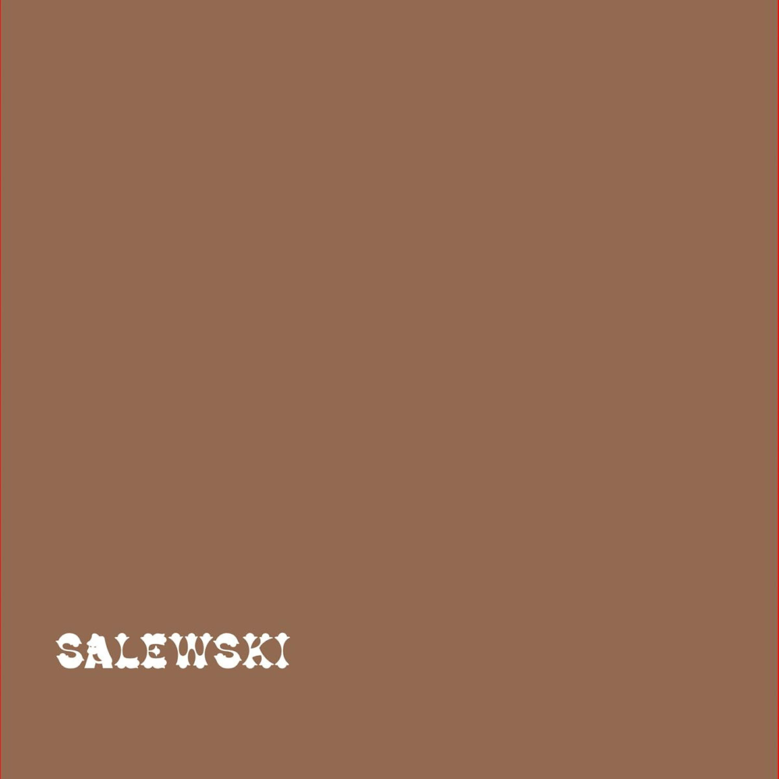 Релиз Salewski