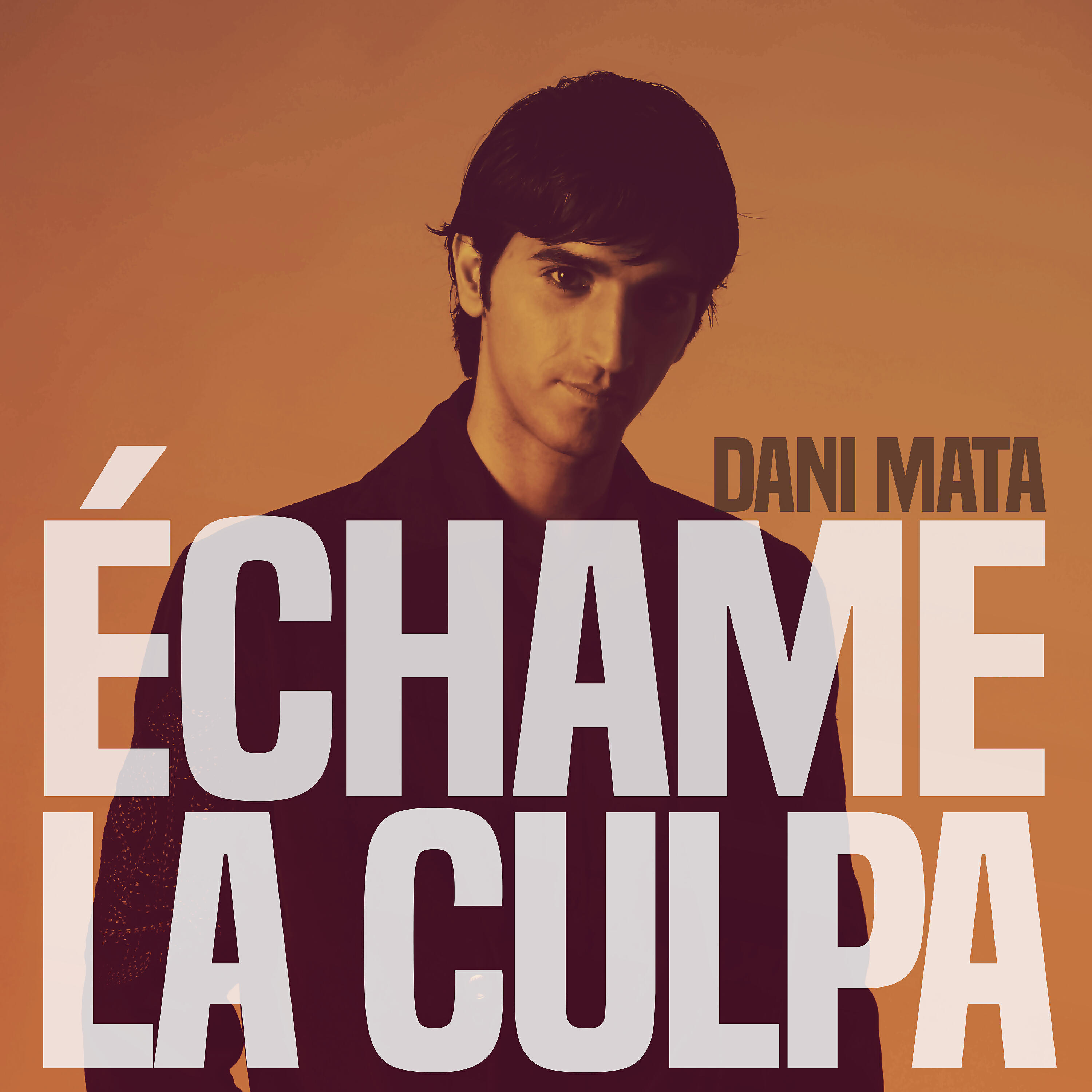 Релиз Échame la Culpa (Pop Version)