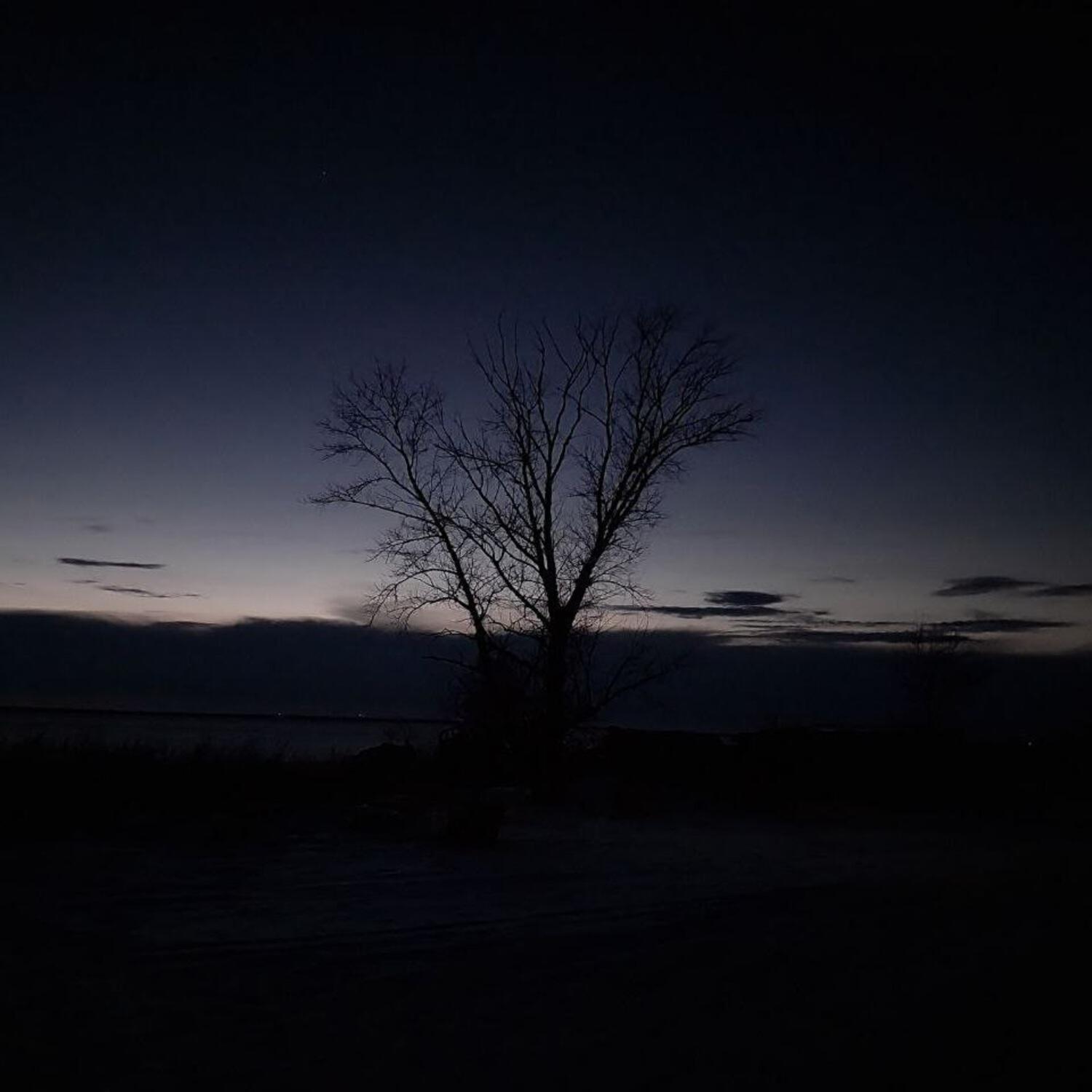 Релиз Inthedark