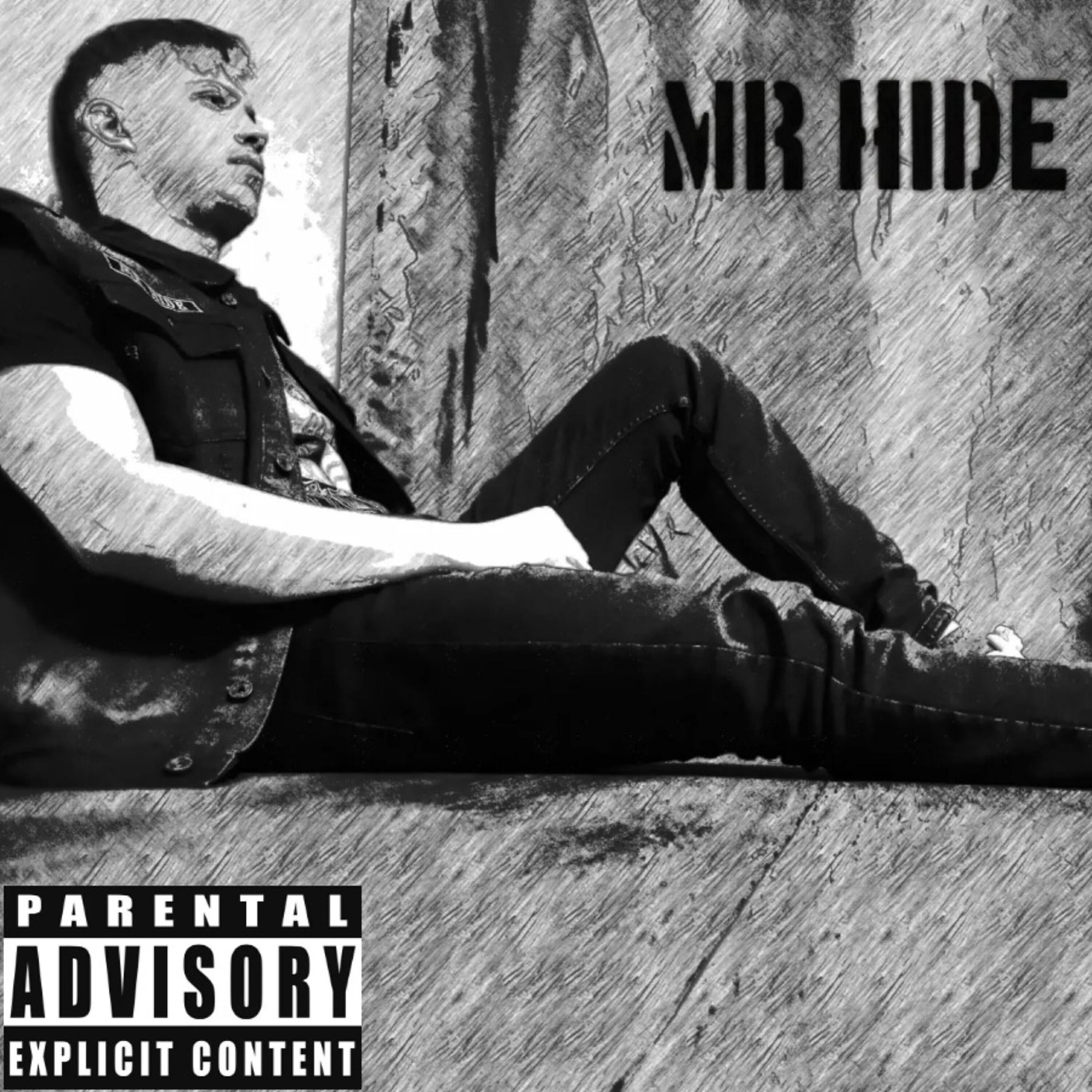 Mr.hide