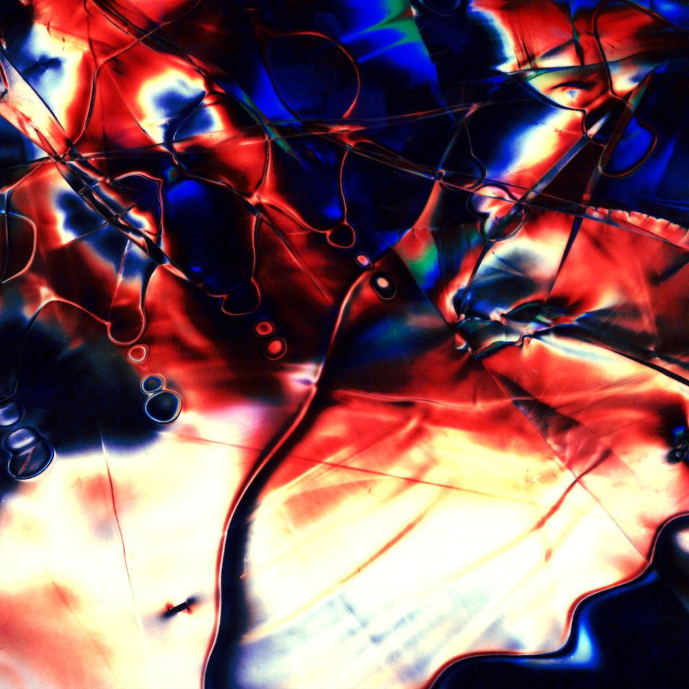Релиз Whippoorwill (NZCA/Lines Remix)