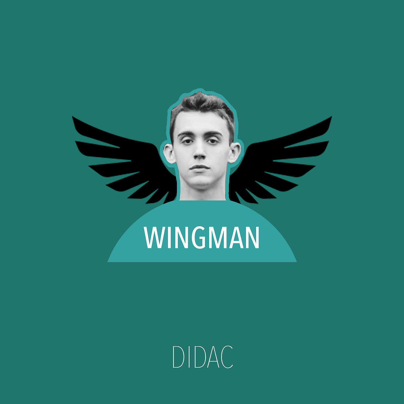Релиз Wingman
