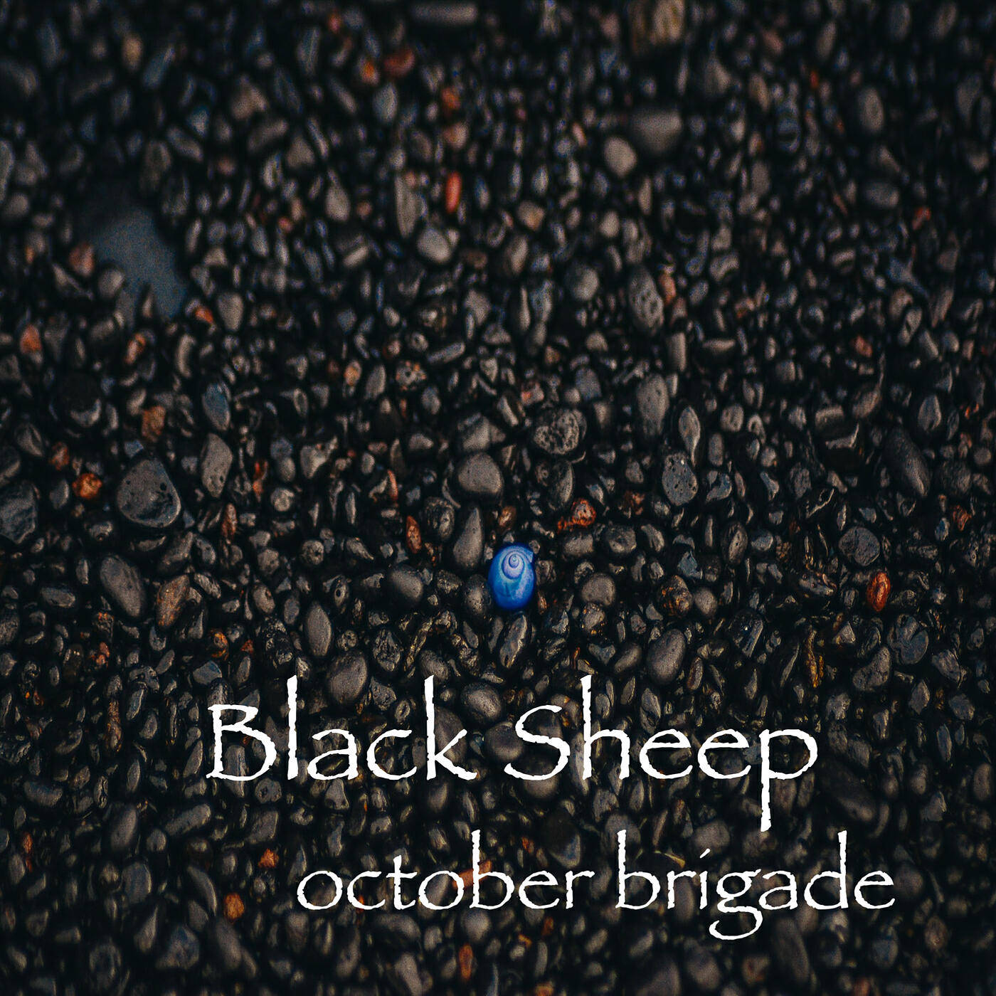 Релиз Black Sheep