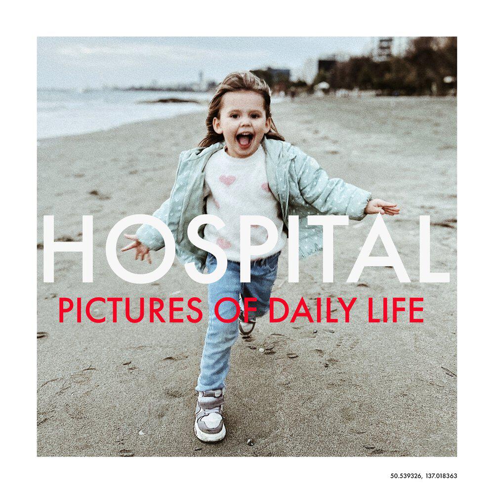 Релиз Pictures of Daily Life