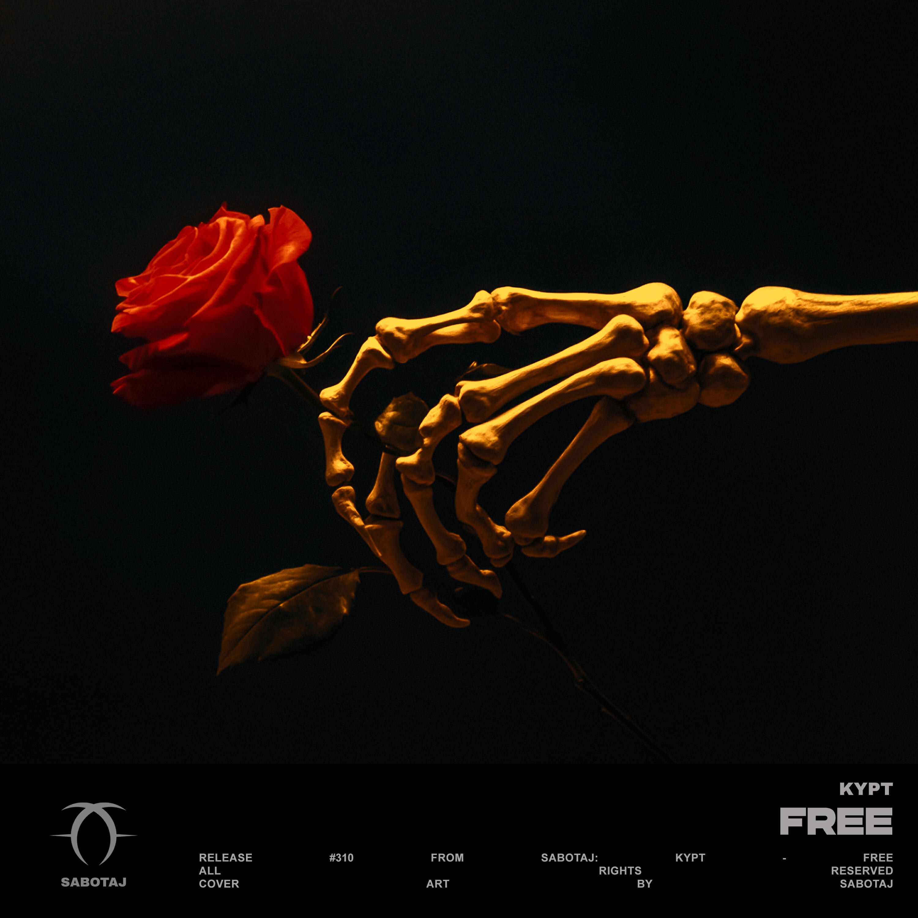 Релиз Free