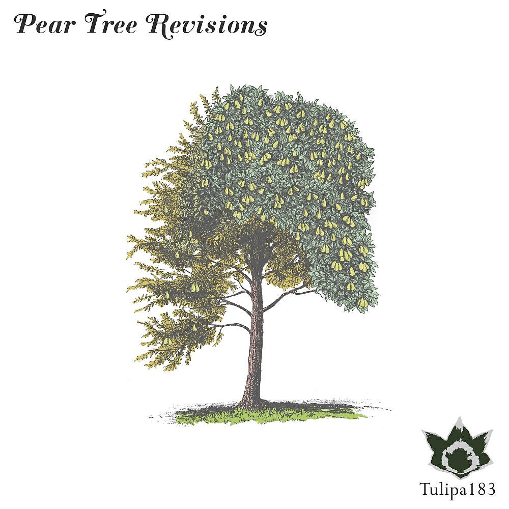 Релиз Pear Tree Revisions