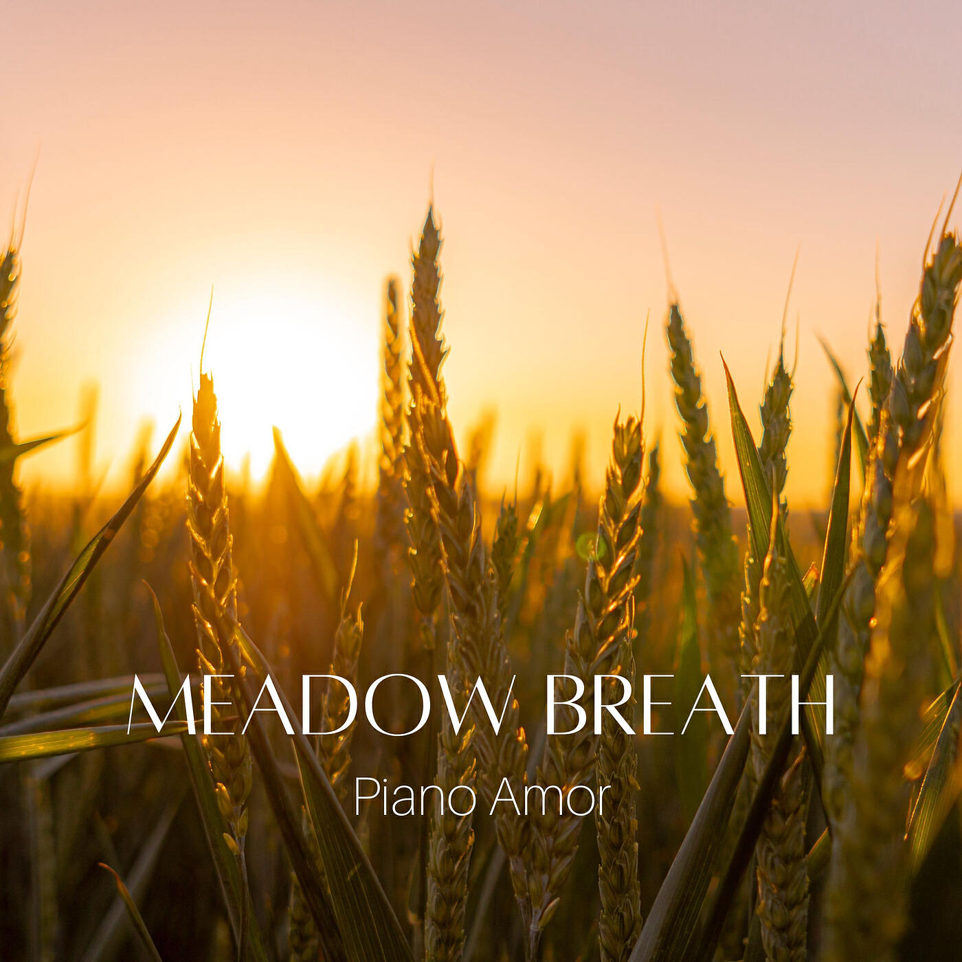 Релиз Meadow Breath