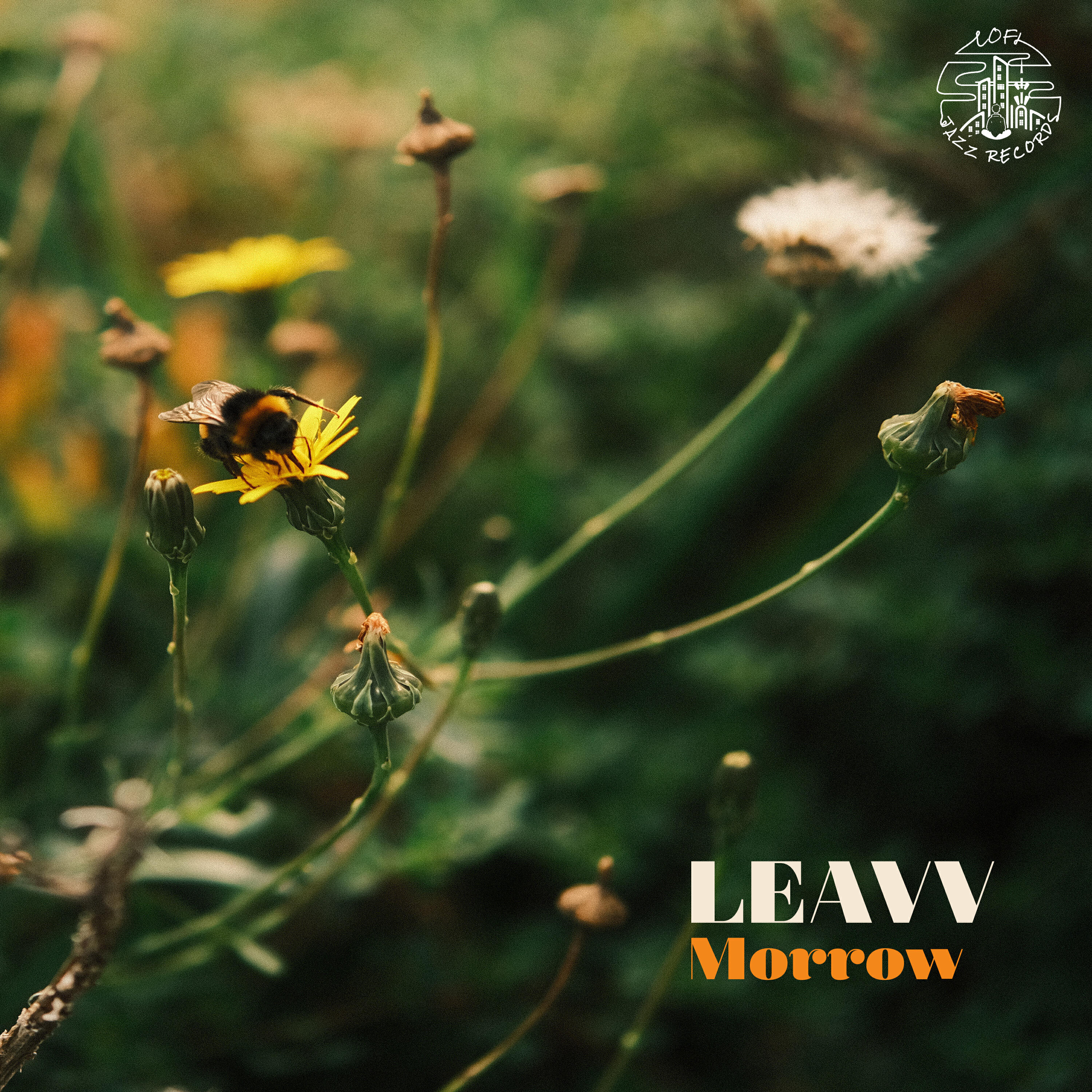 Релиз Morrow
