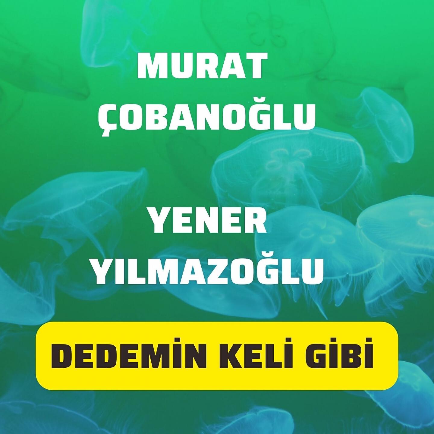 Релиз Dedemin Keli Gibi