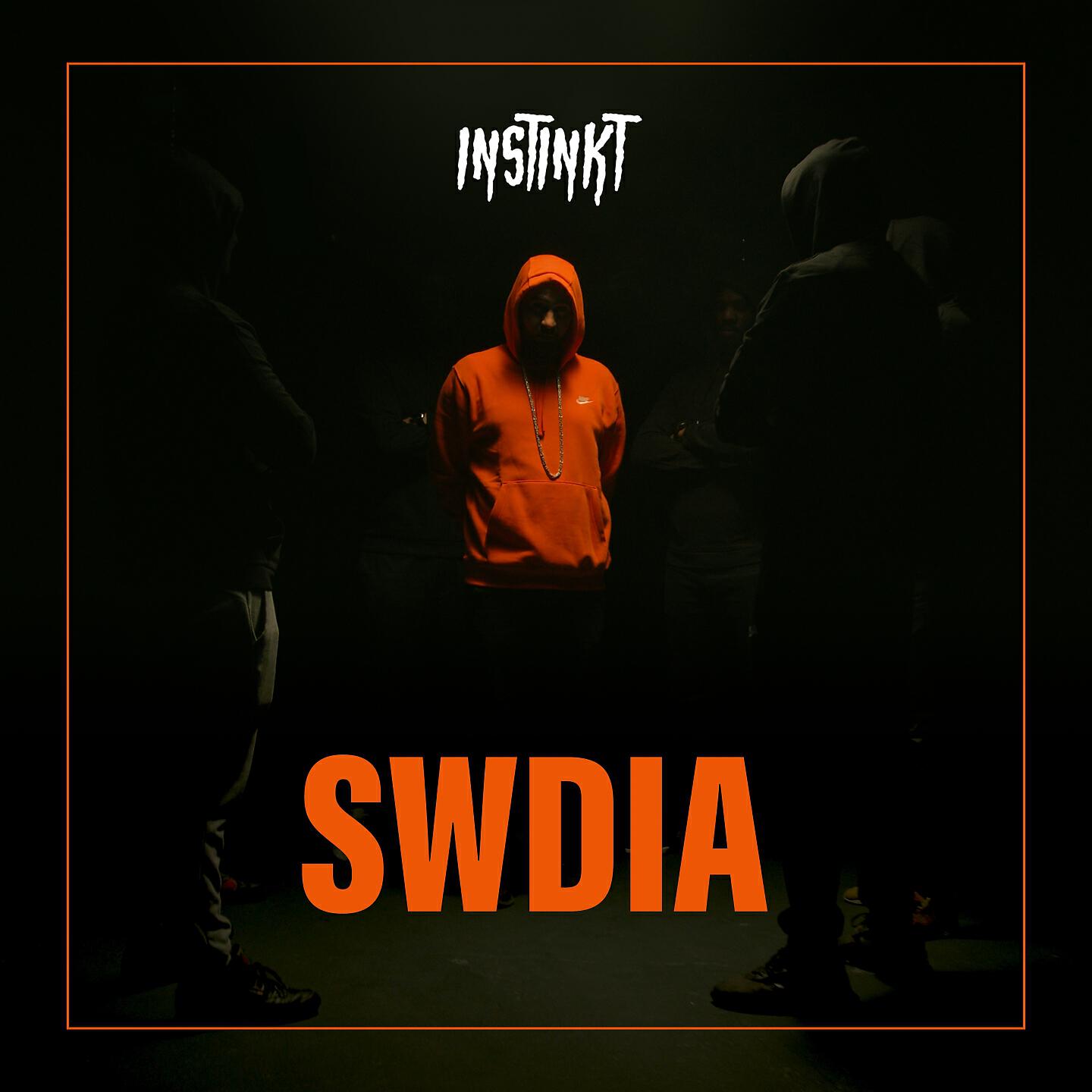 Релиз SWDIA