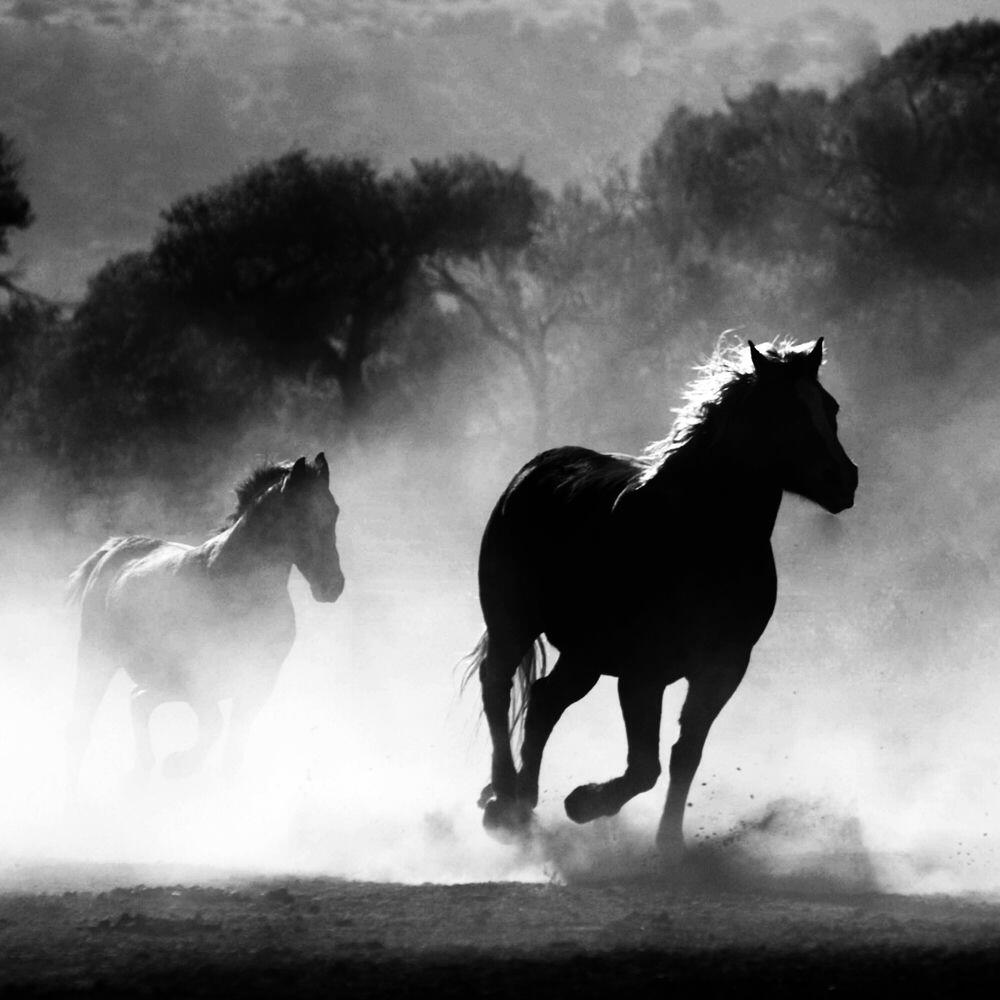 Релиз Dark Horse (Sped Up)