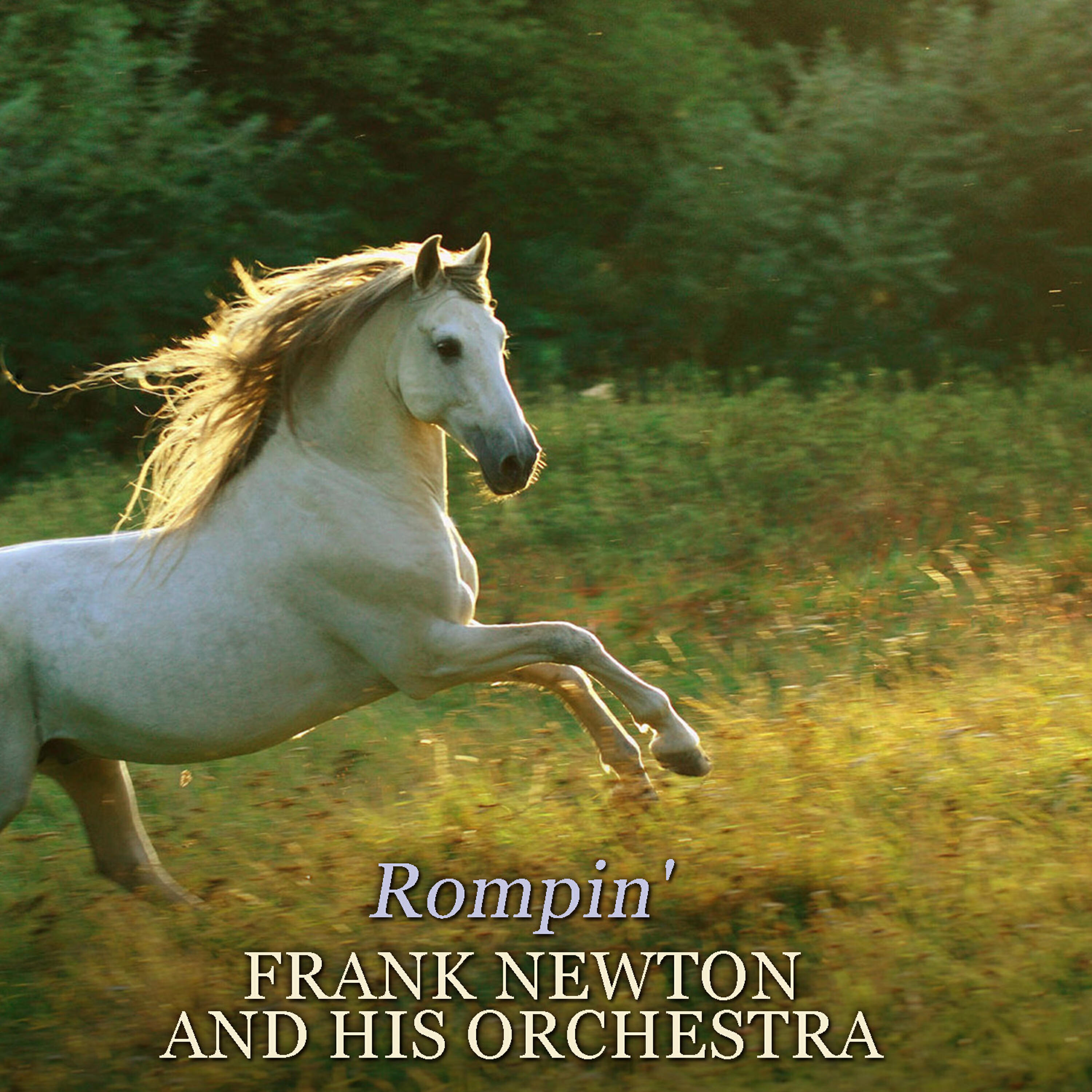 Релиз Rompin'