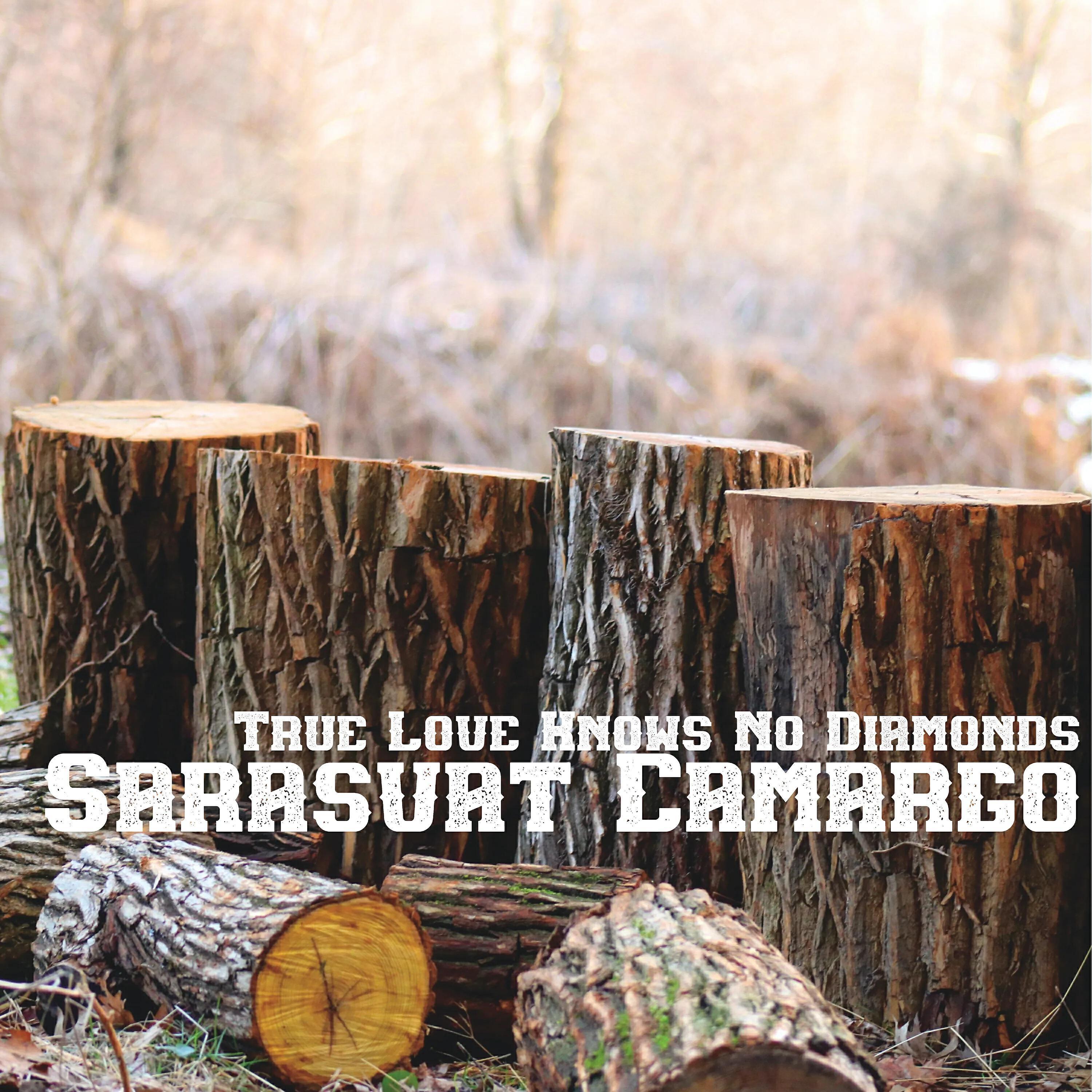 Sarasvat Camargo