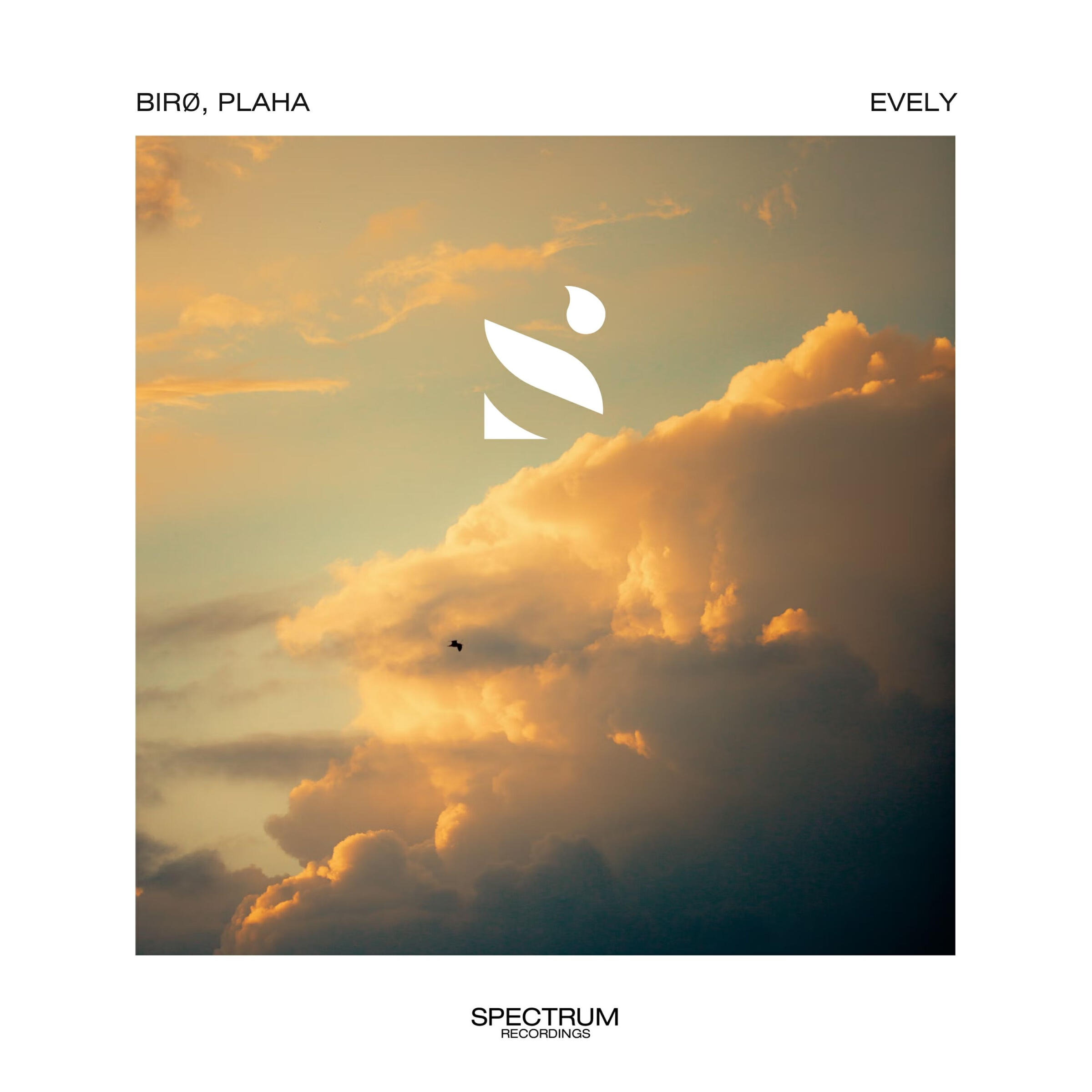 Релиз evely