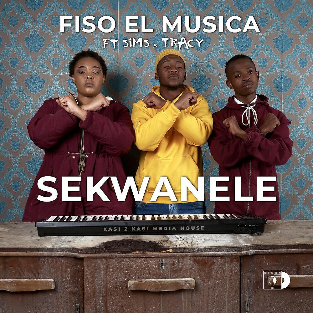 Релиз Sekwanele
