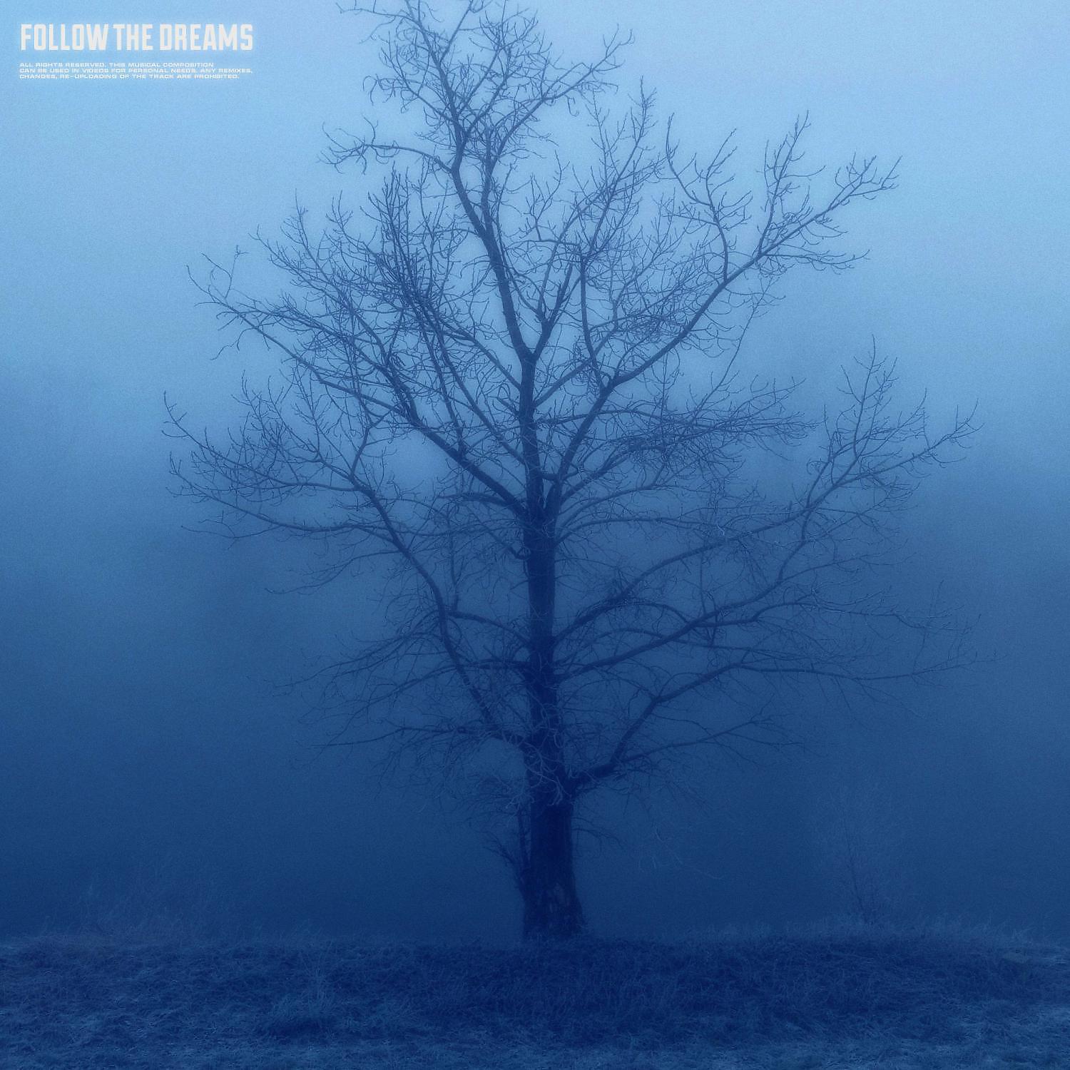 Релиз follow the dreams